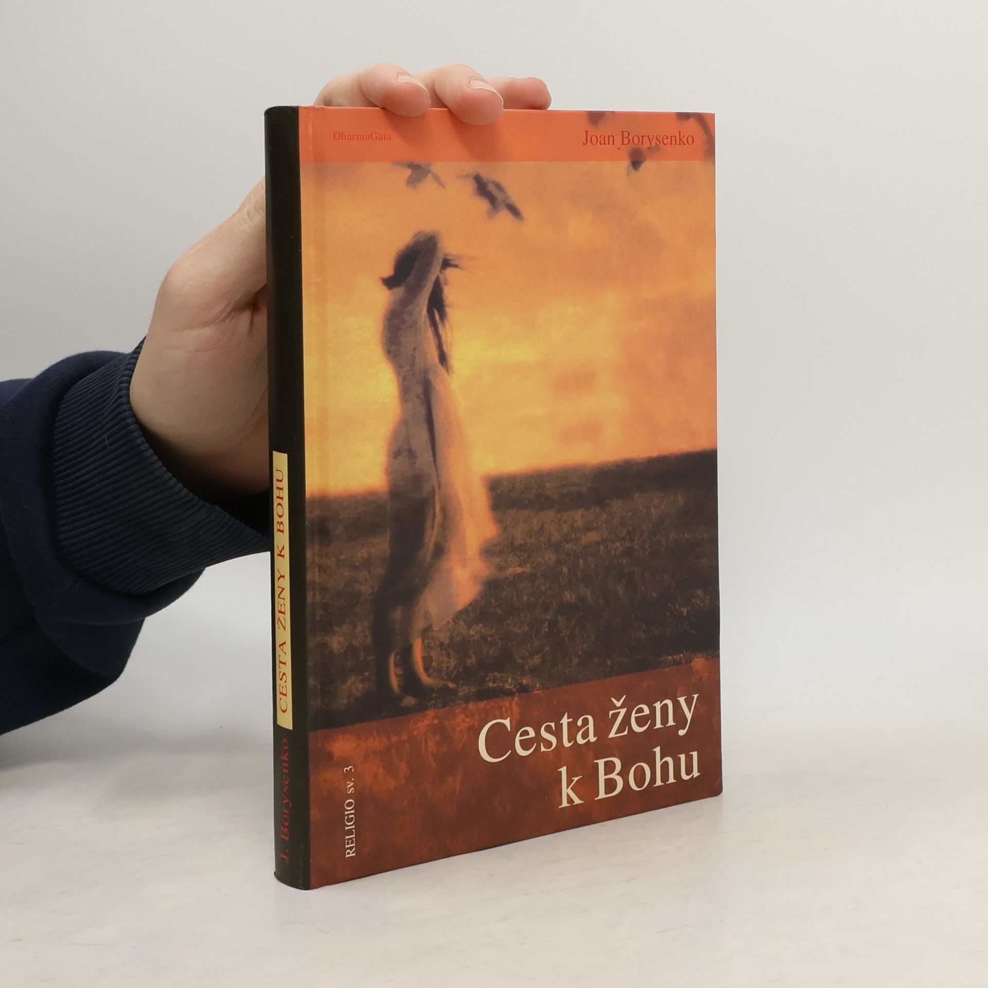 Joan Borysenko Cesta ženy k Bohu