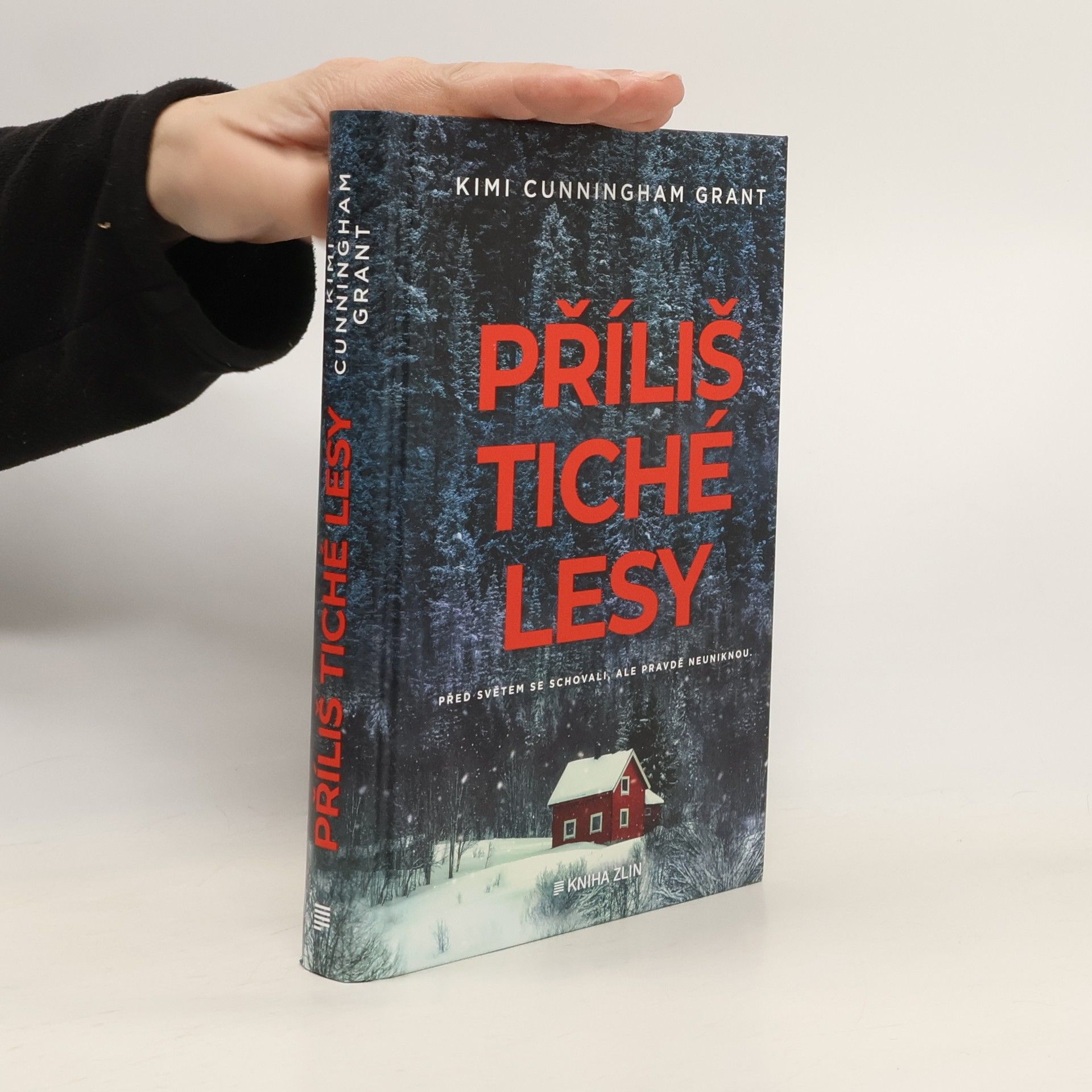 Kimi Cunningham Grant Příliš tiché lesy