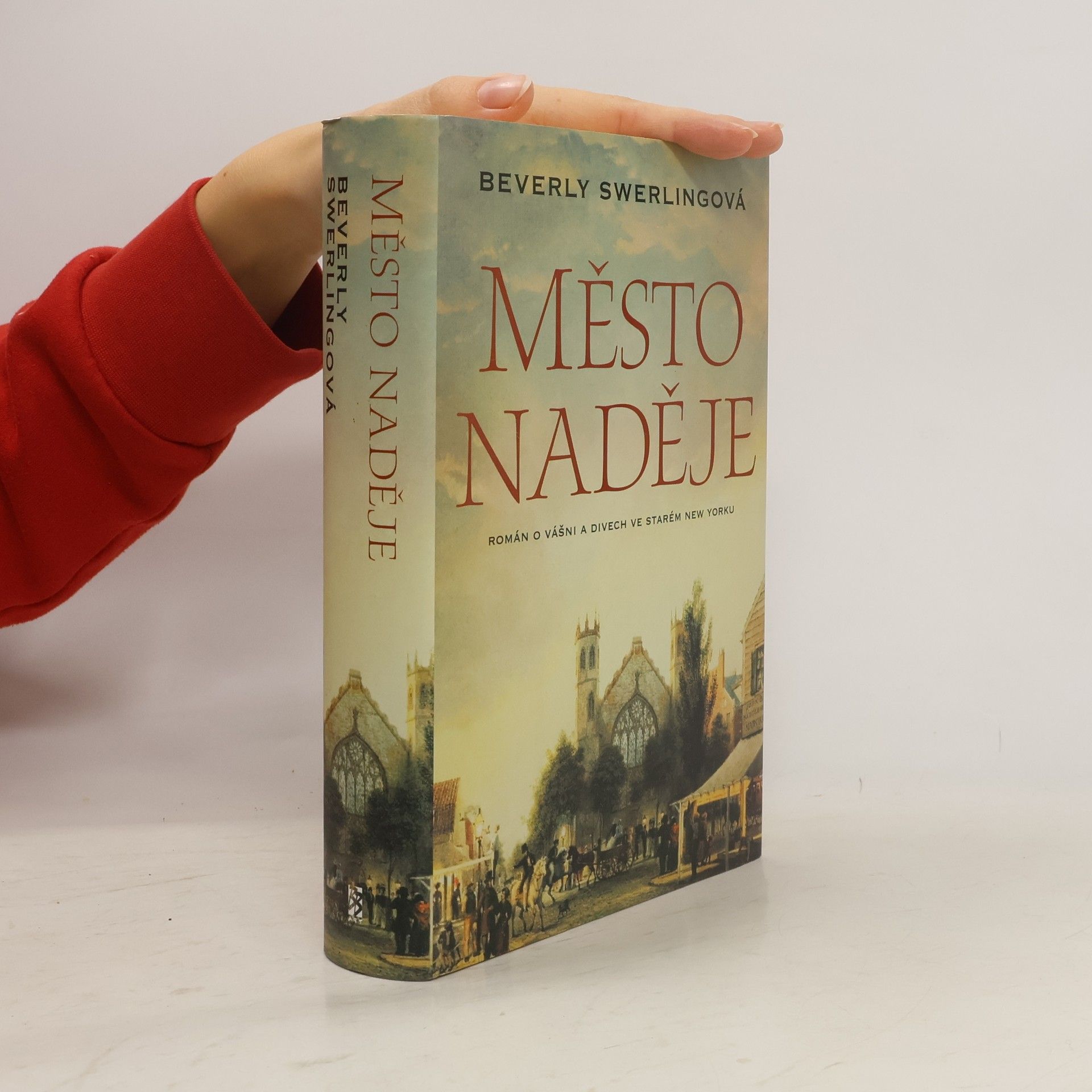 Beverly Swerling Město naděje