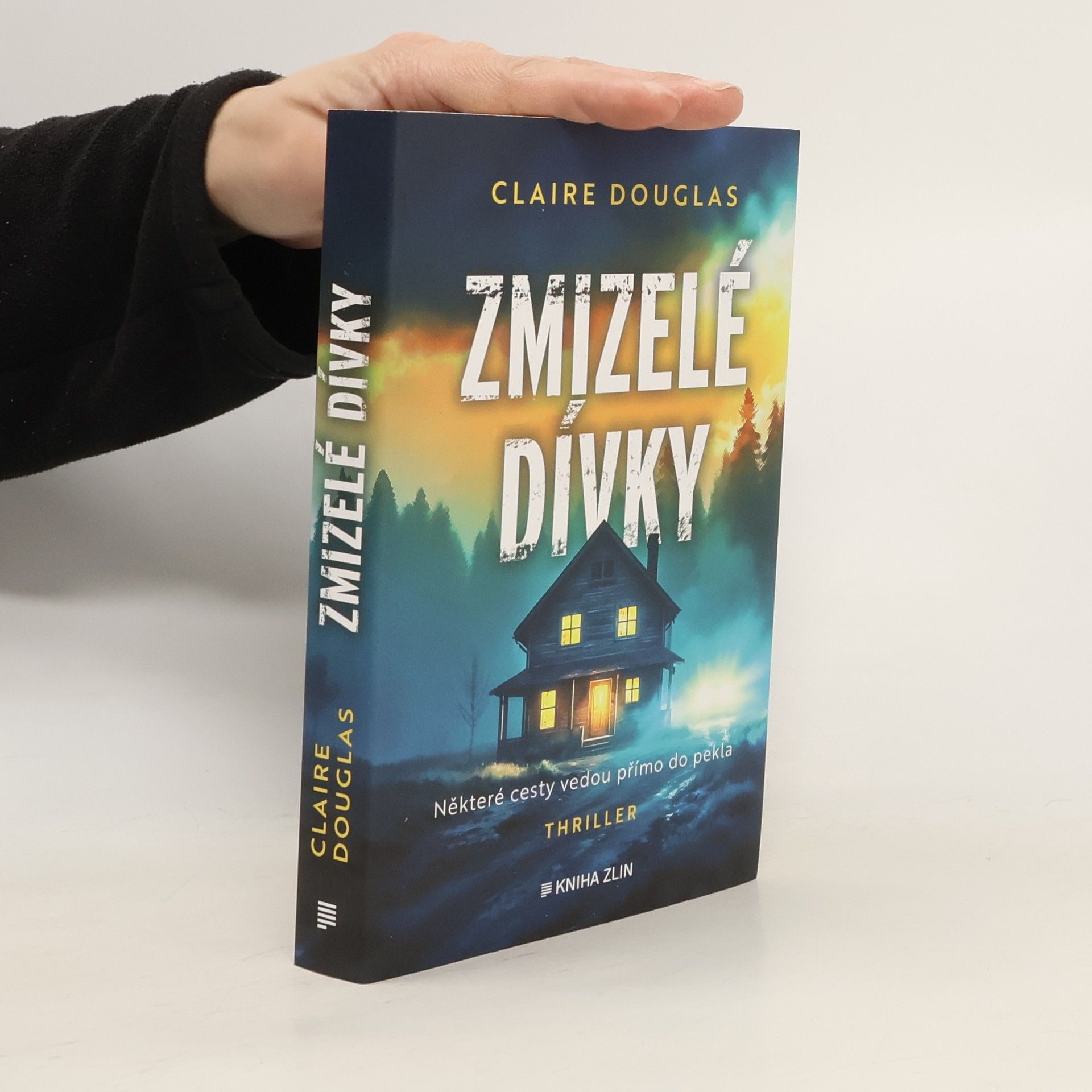 Claire Douglas Zmizelé dívky