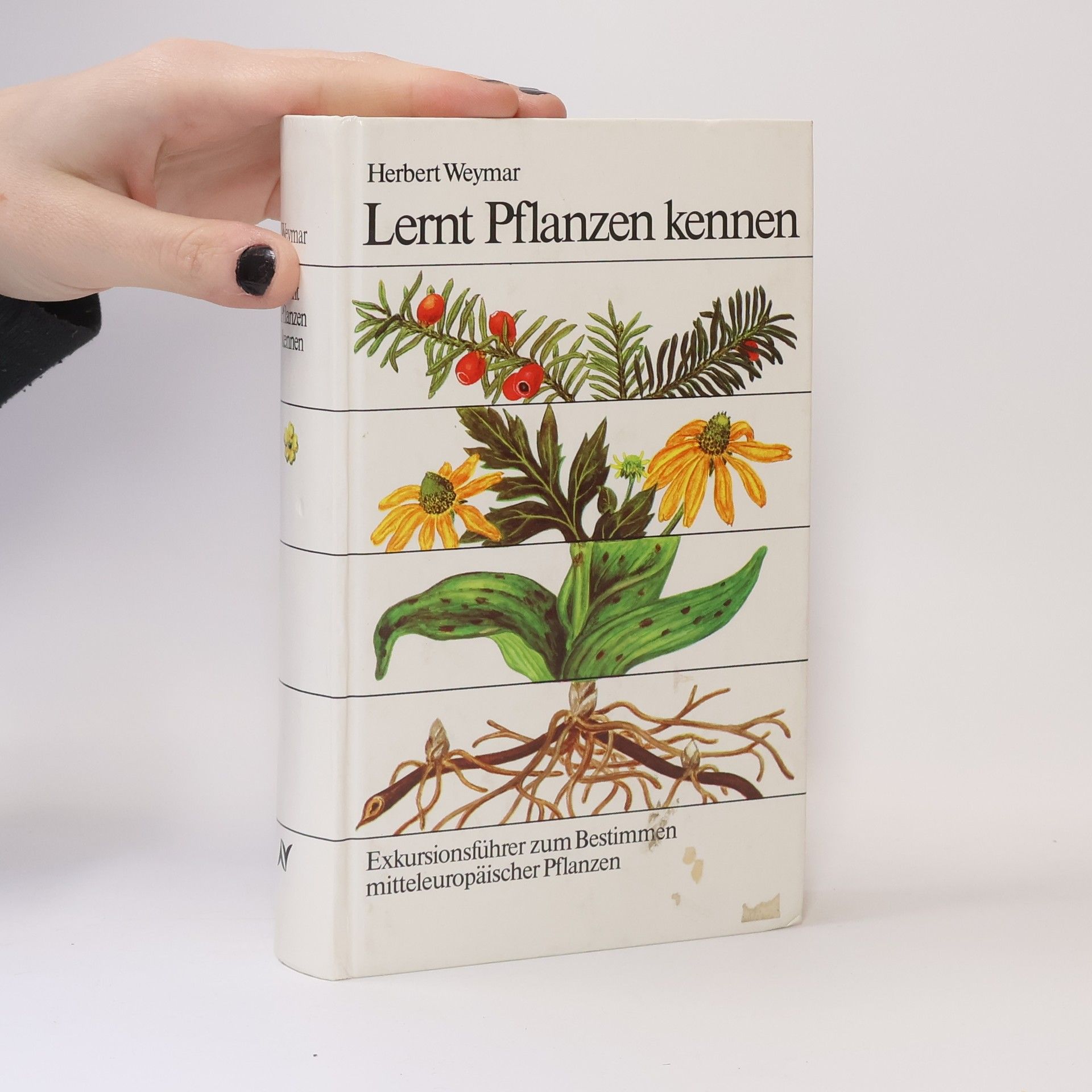 Herbert Weyma Lernt Pflanzen kennen