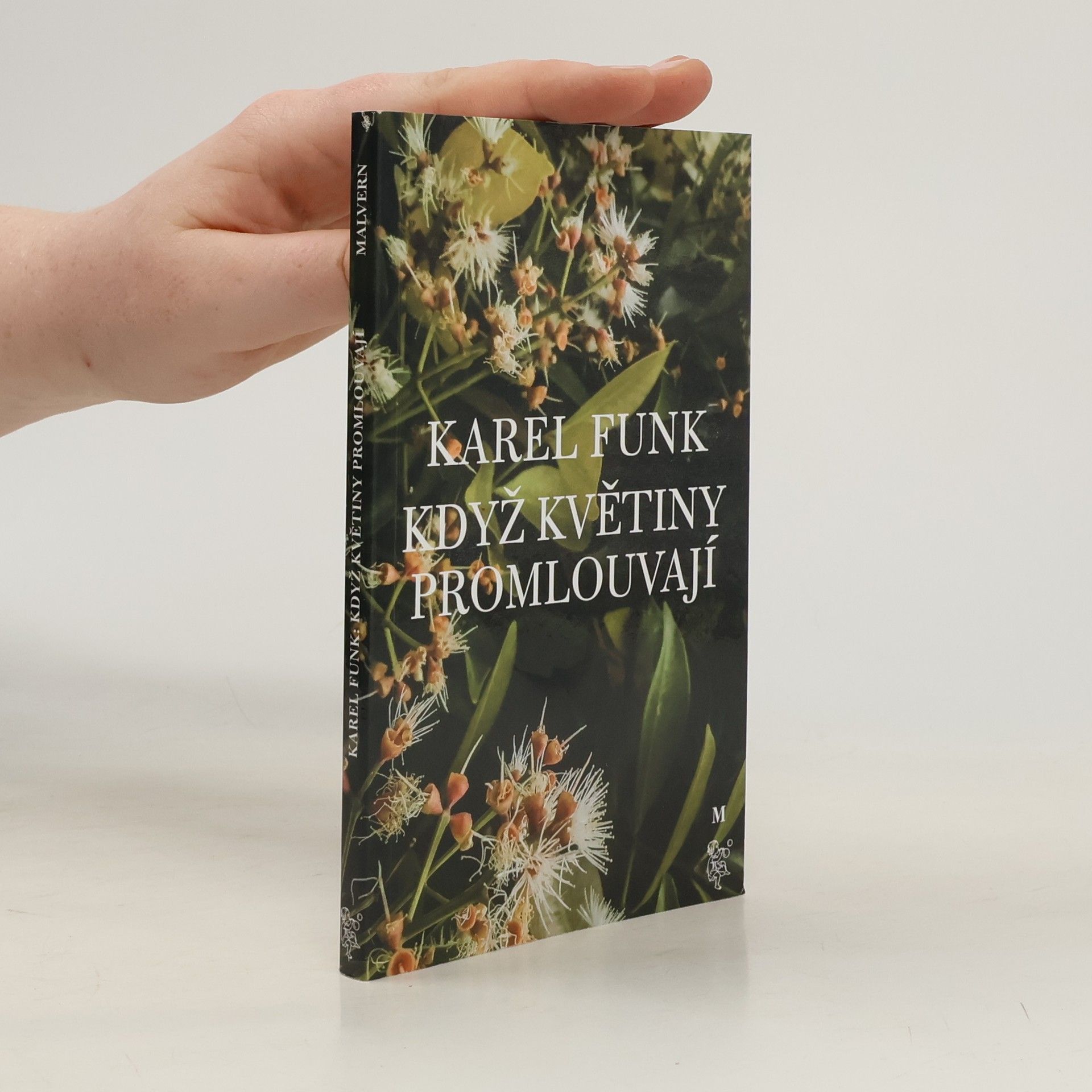 Jaroslava Karpíšková Ogham. Cesta vroubená příběhy stromů