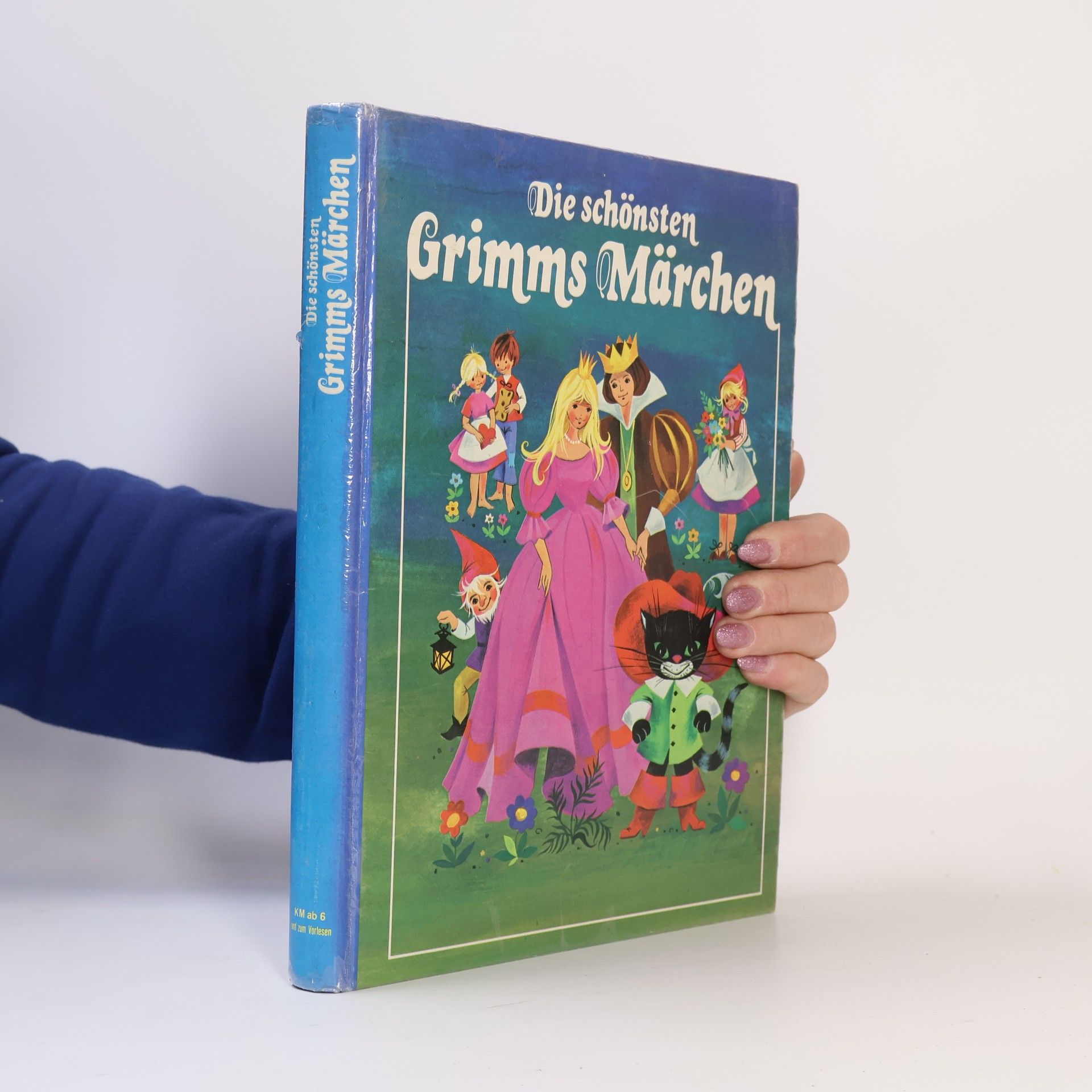 Autores varios Die schönsten Grimms Märchen