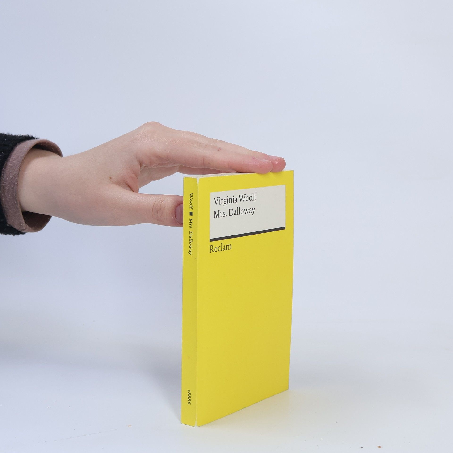 Virginia Woolf Mrs. Dalloway