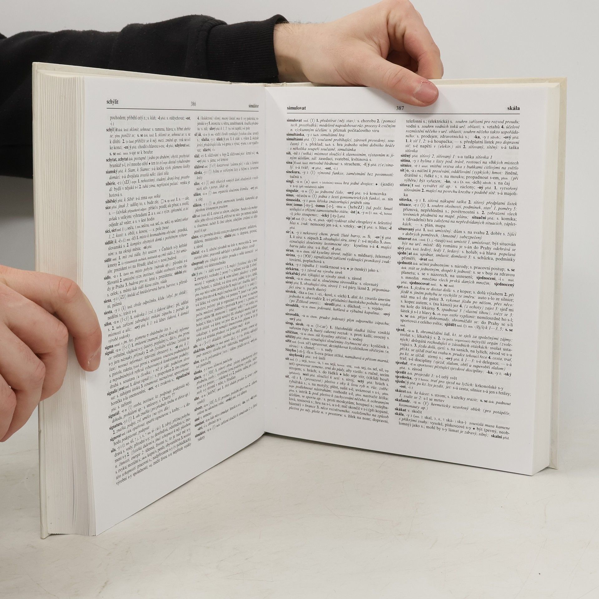 Autorenkollektiv Slovník spisovné češtiny pro školu a veřejnost