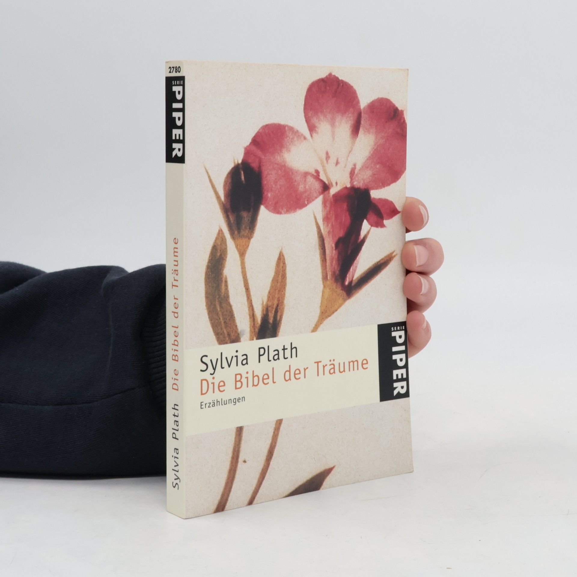 Sylvia Plath Die Bibel der Träume