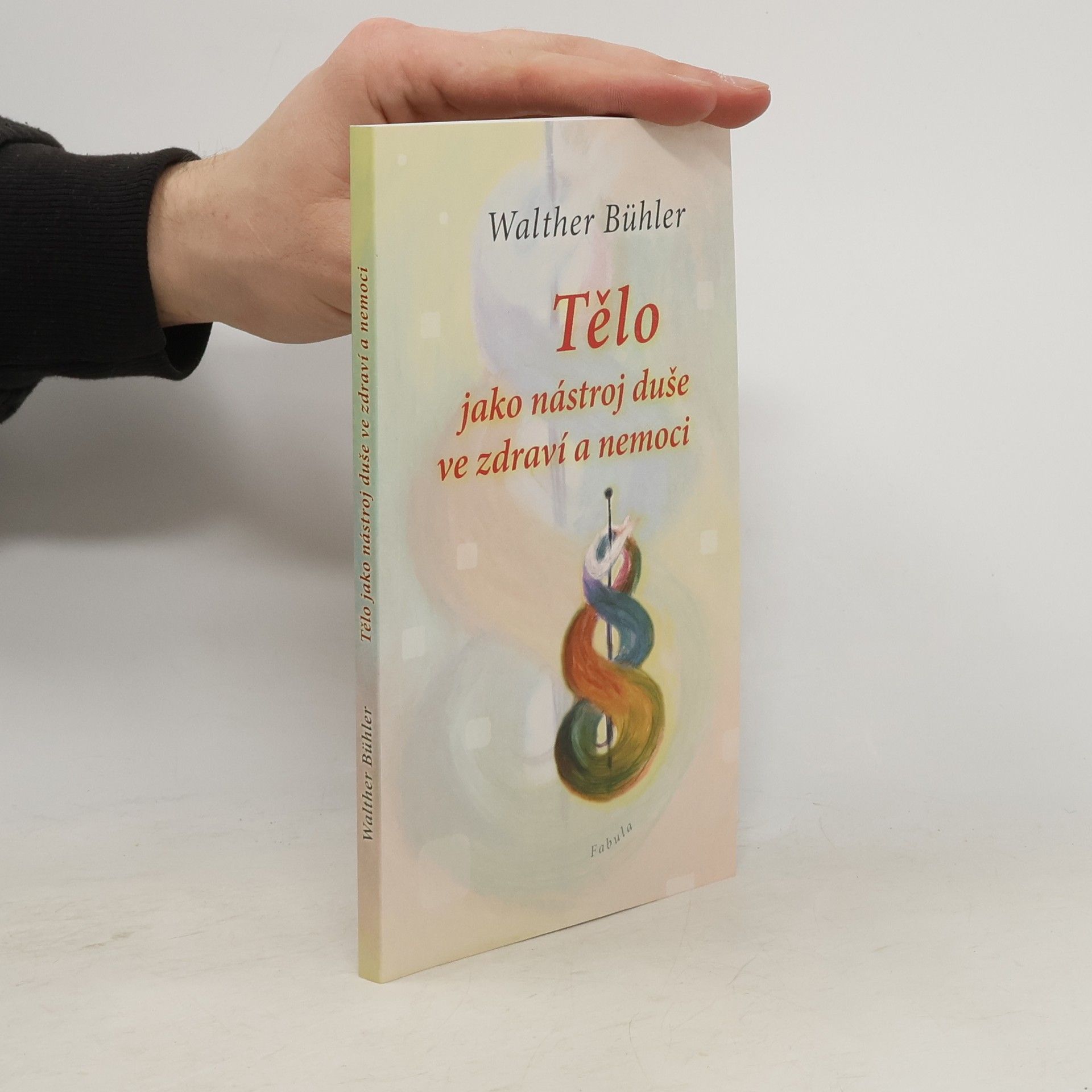 Walther Bühler Tělo jako nástroj duše ve zdraví a nemoci