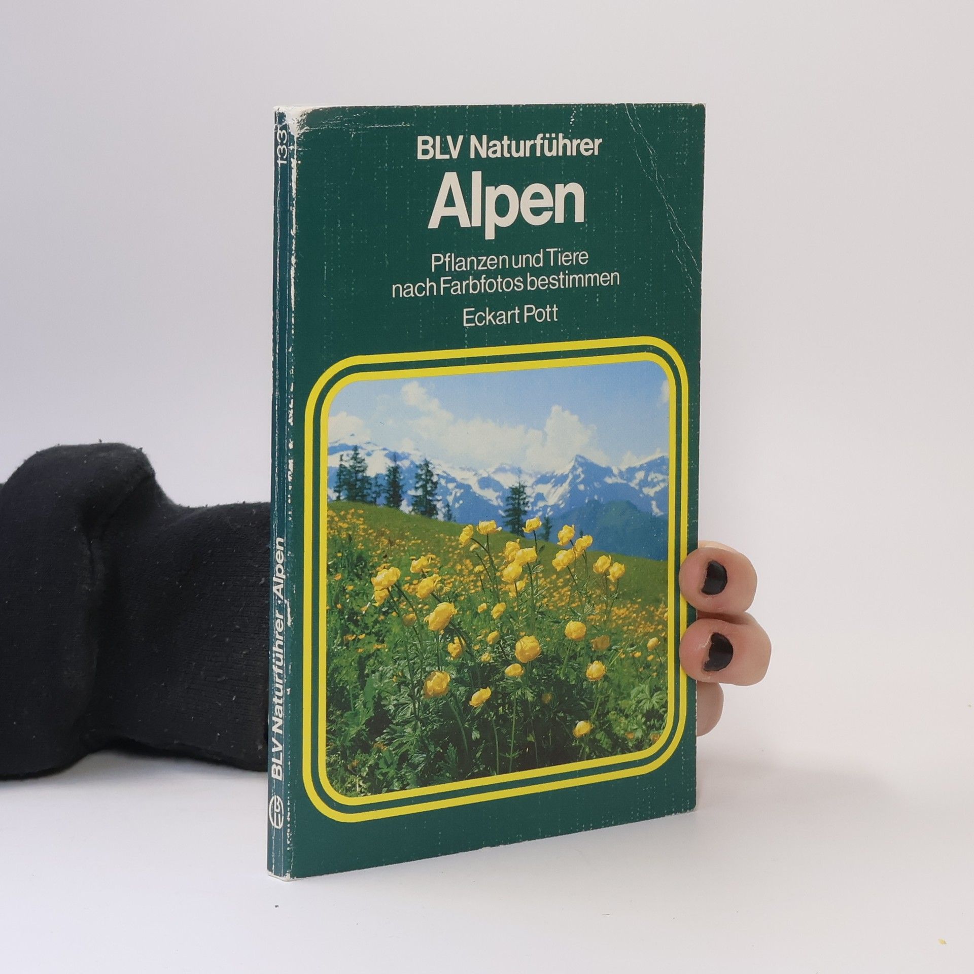 Eckart Pott Alpen