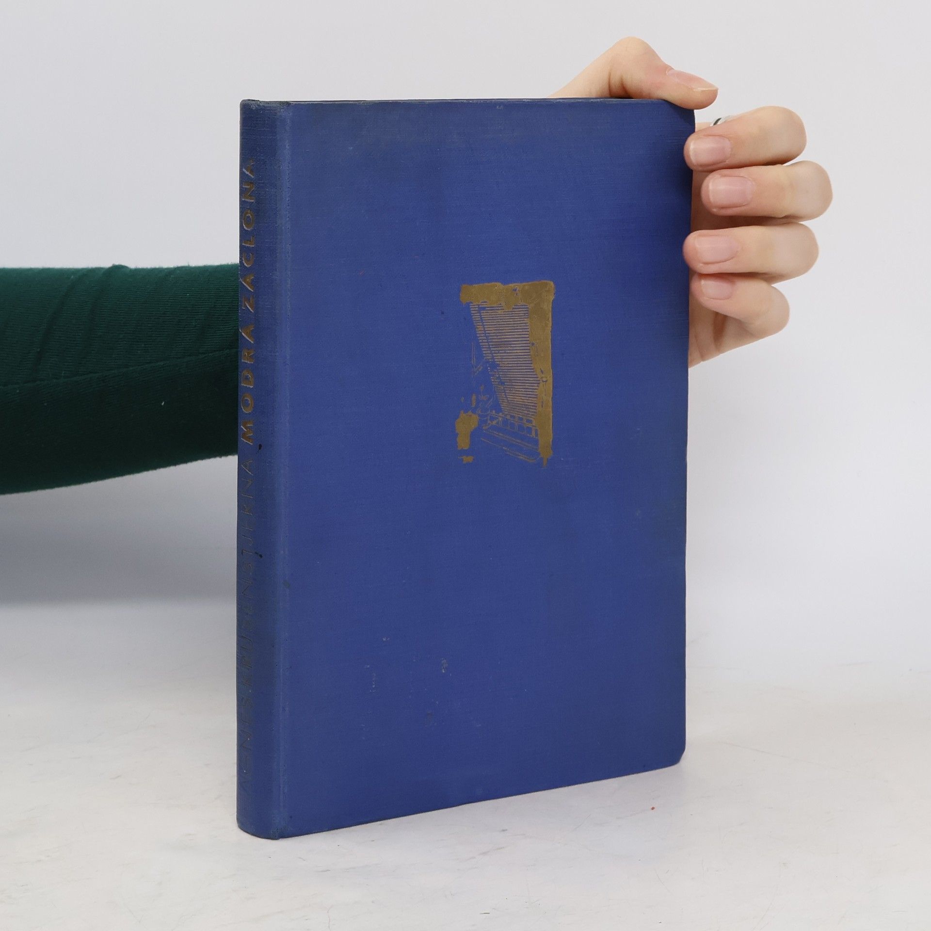 Agnes von Krusenstjerna Modrá záclona