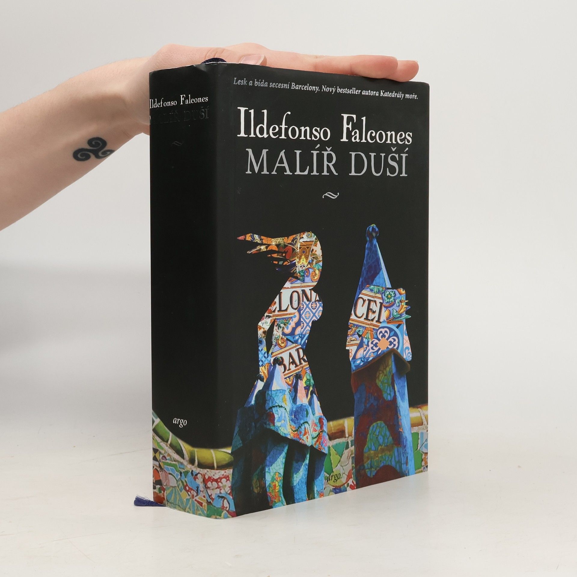 Ildefonso Falcones Malíř duší