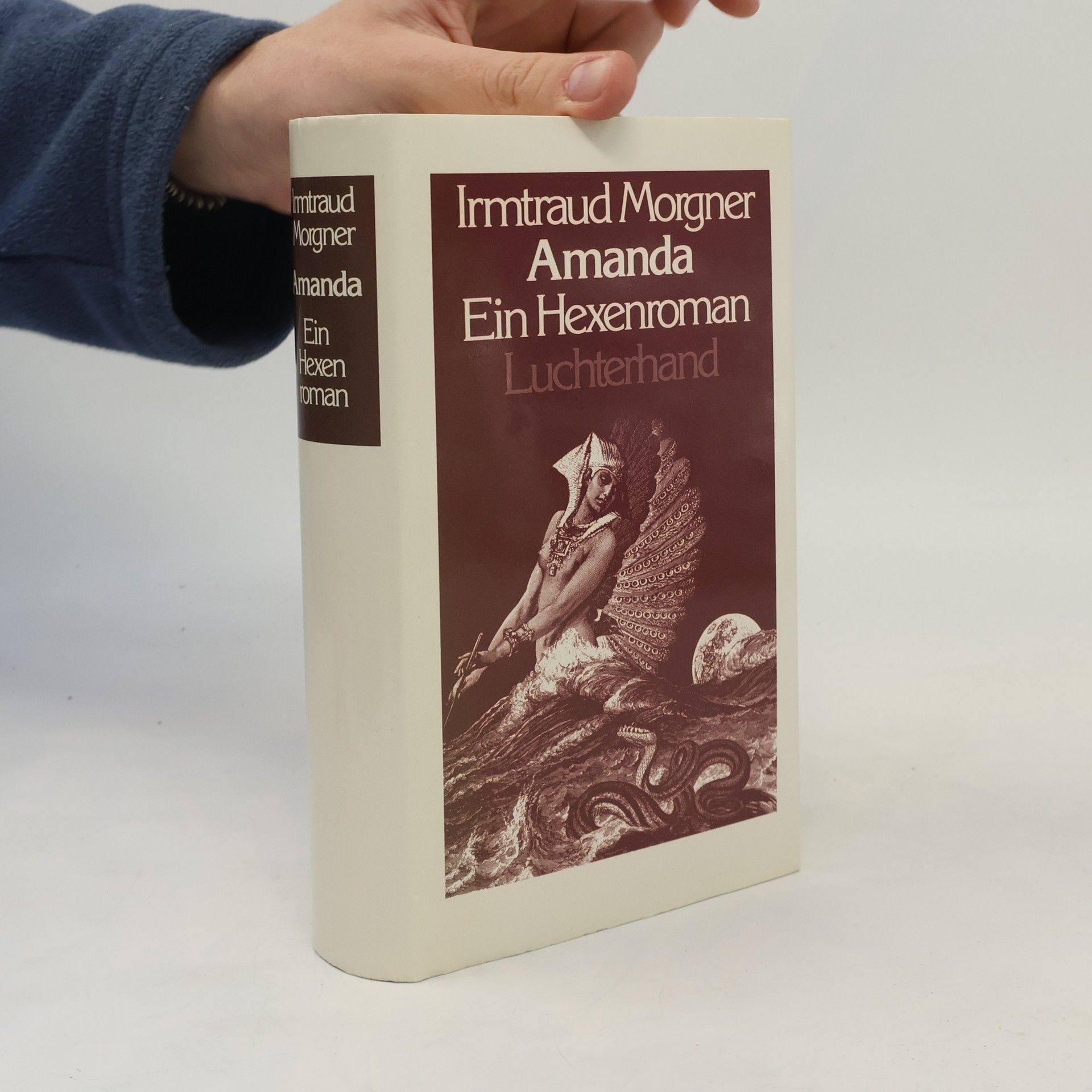 Irmtraud Morgner Amanda : Ein Hexenroman