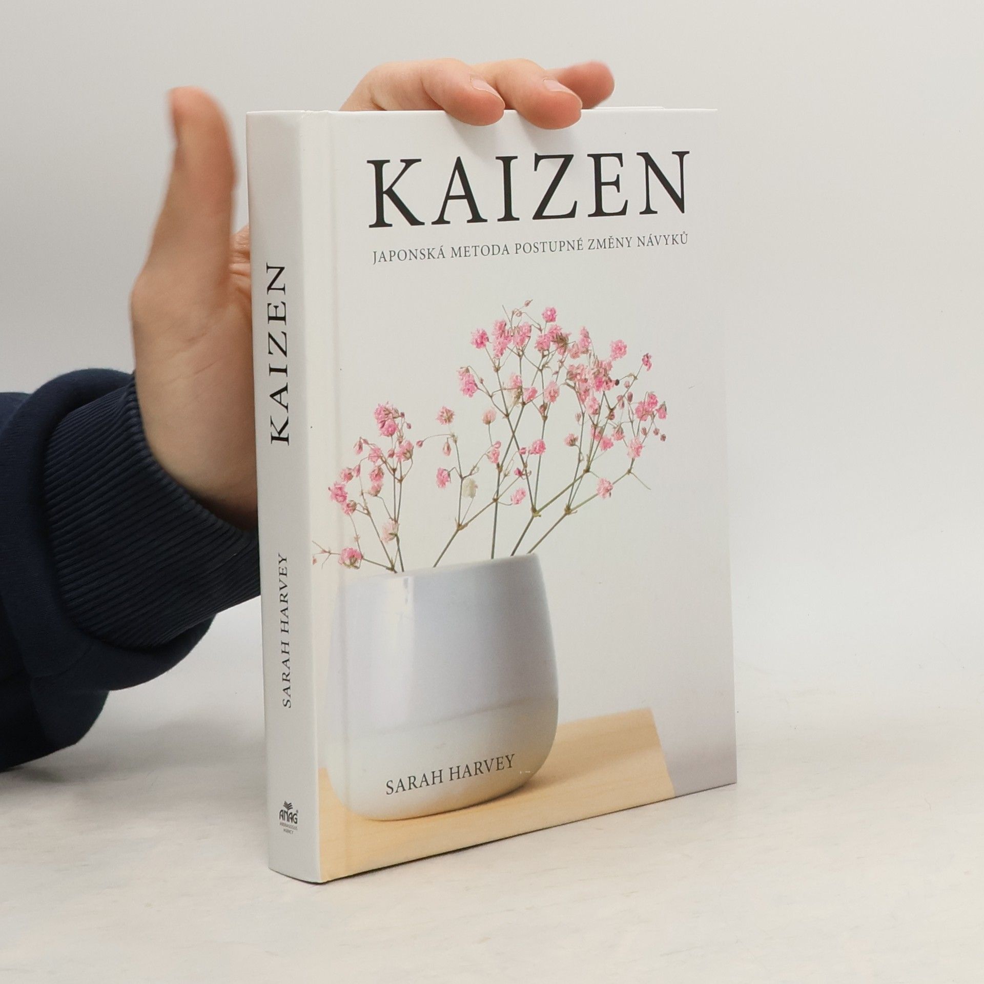 Sarah Harvey Kaizen: Japonská metoda postupné změny návyků