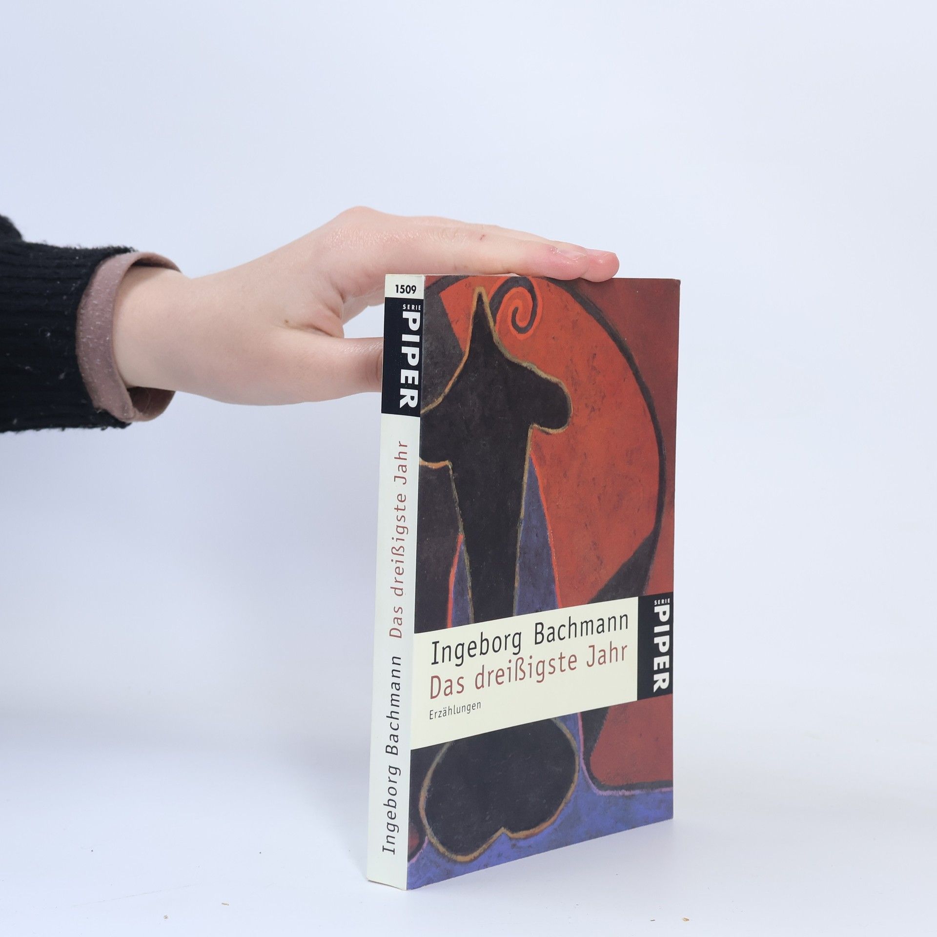 Ingeborg Bachmann Das dreißigste Jahr : Erzählungen