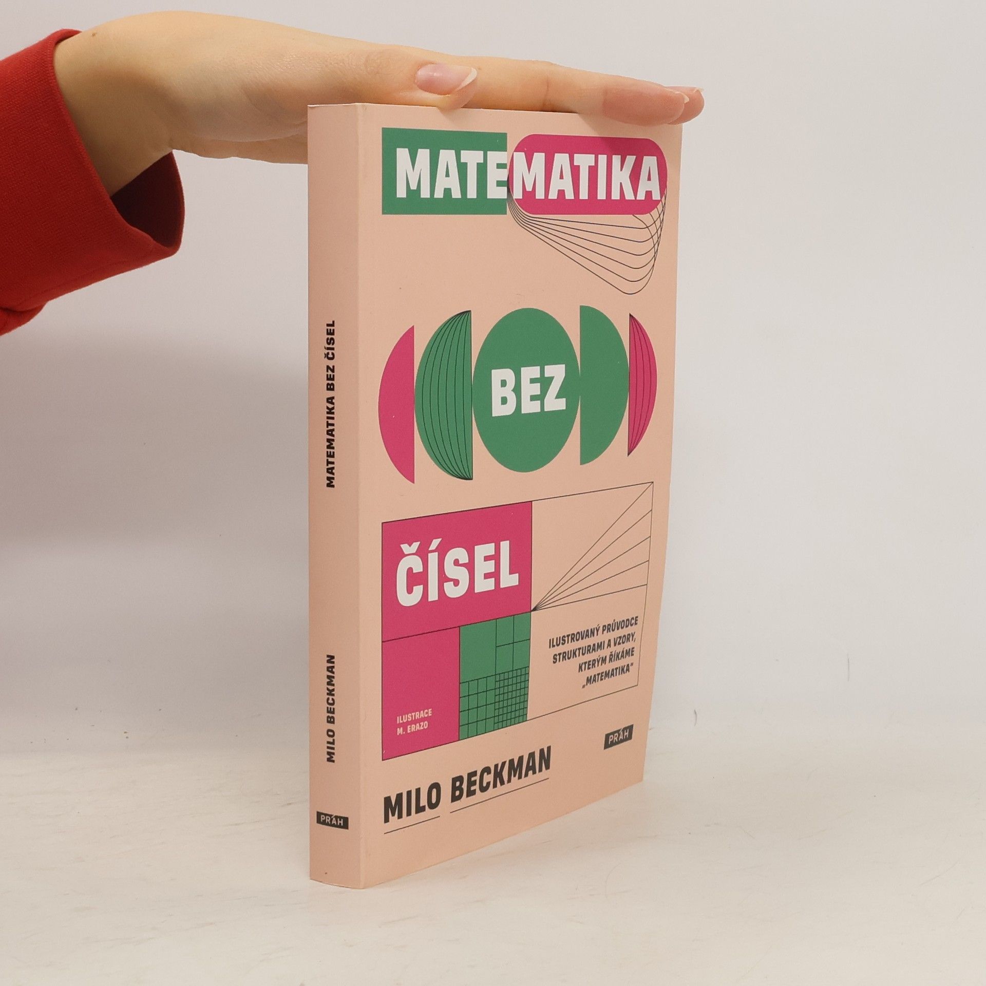 Milo Beckman Matematika bez čísel