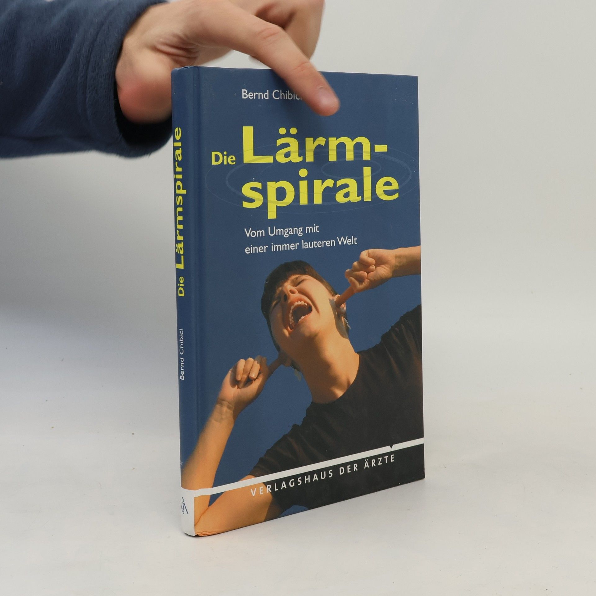 Bernd Chibici Die Lärmspirale