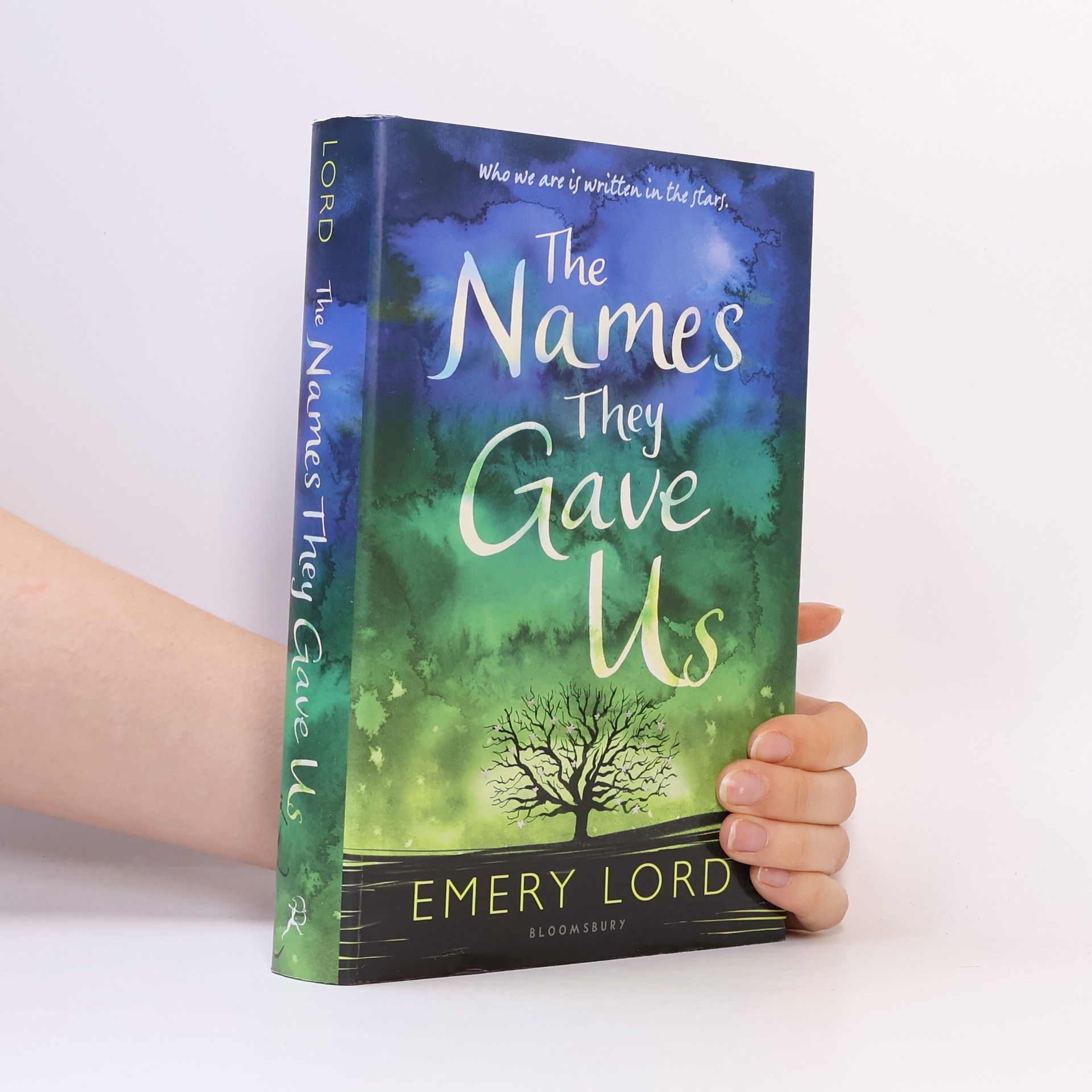 Emery Lord The Names They Gave Us