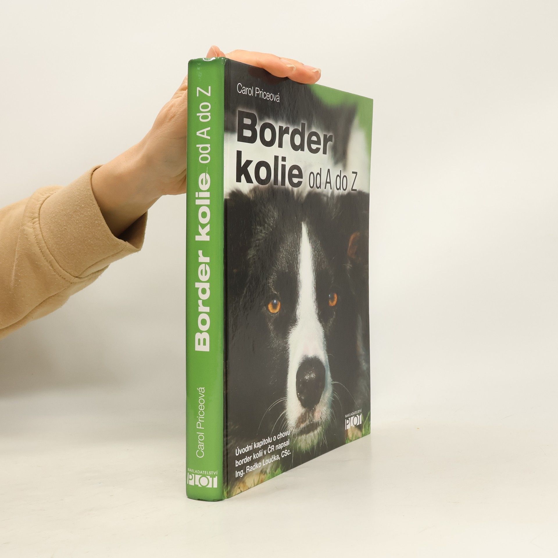 Carol Price Border kolie od A do Z