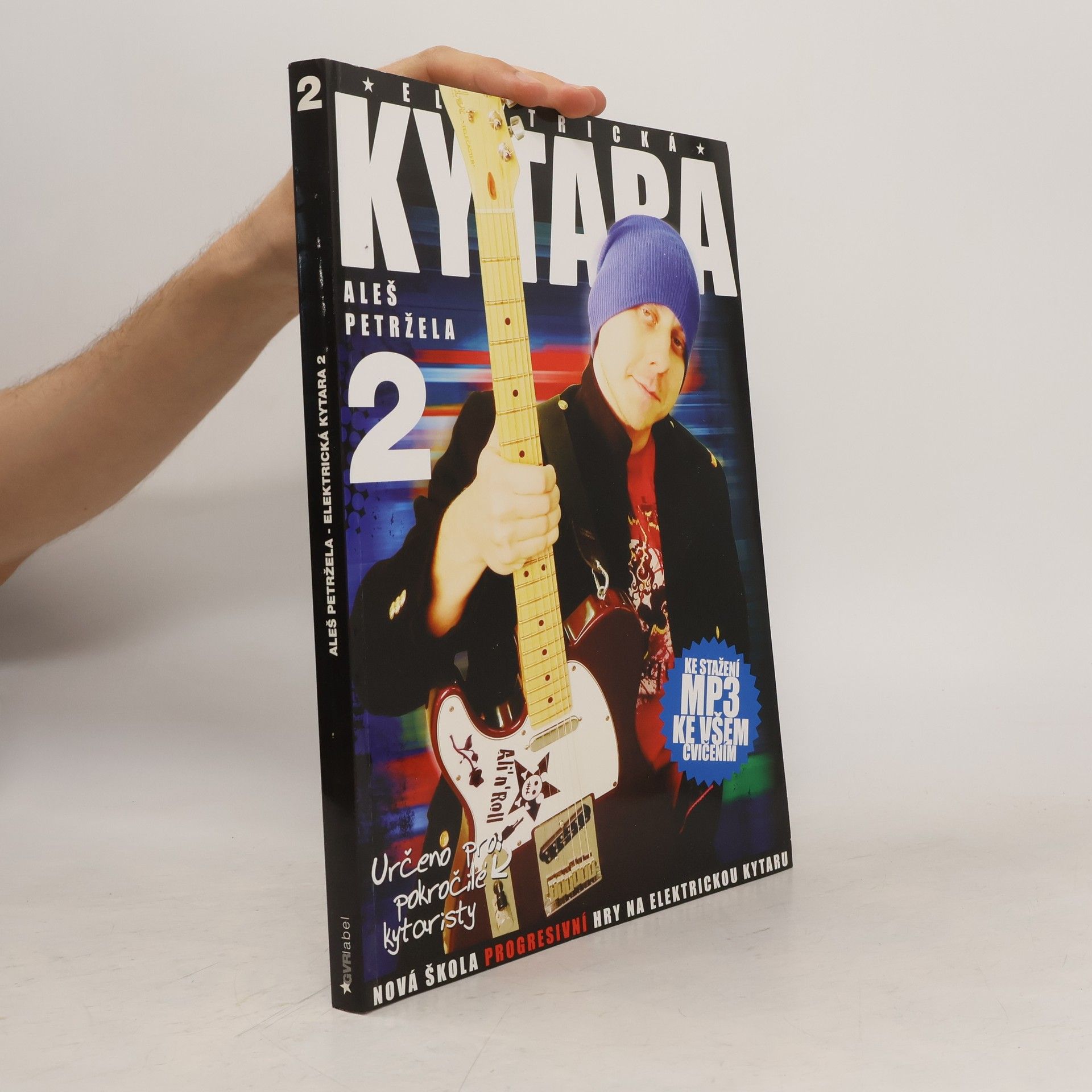 Aleš Petržela Elektrická kytara