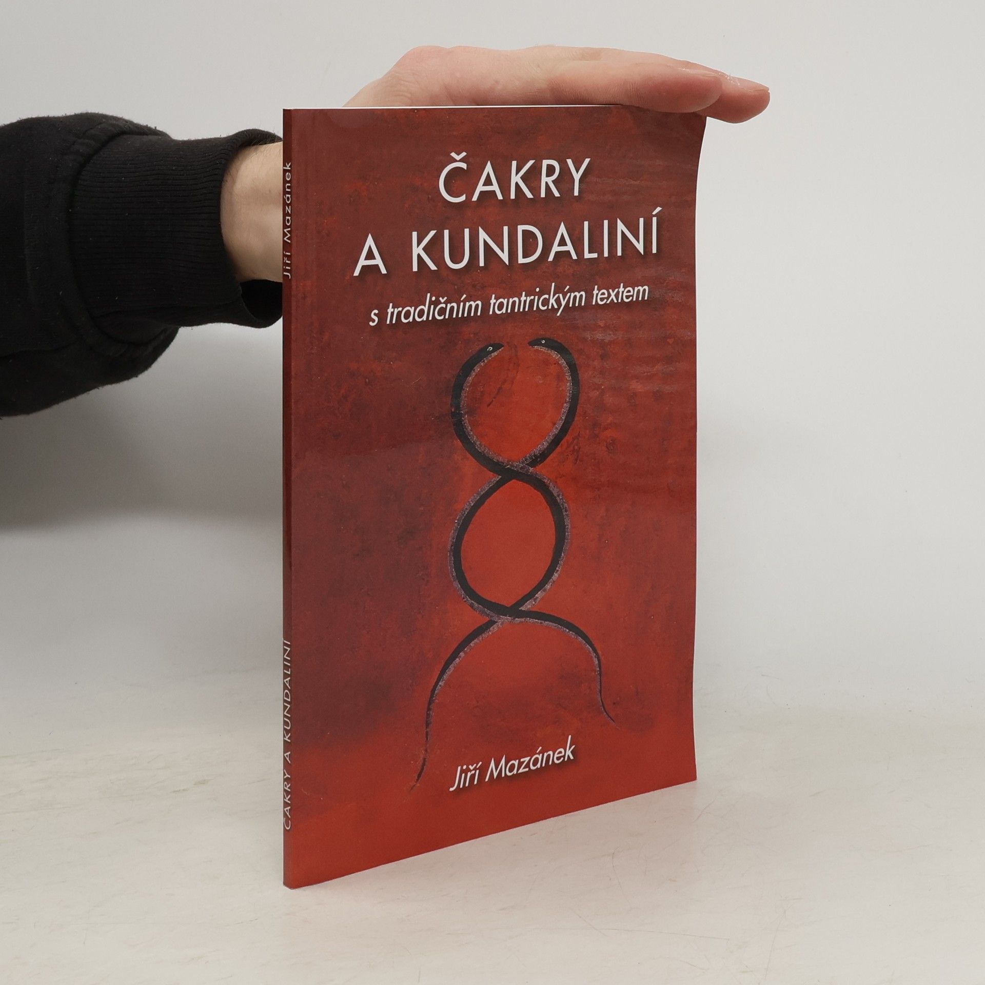 Jiří Mazánek Čakry a kundaliní