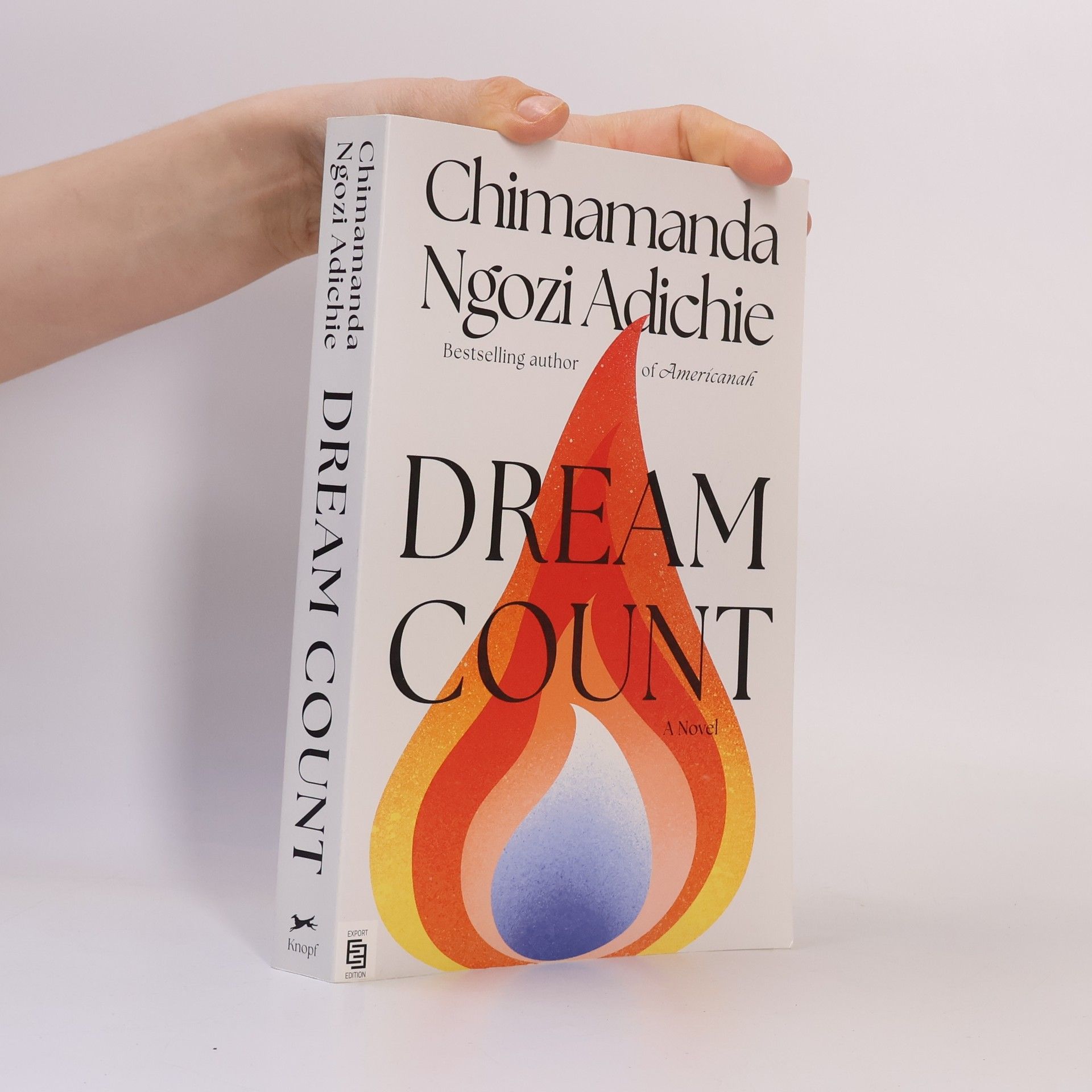 Chi­ma­man­da Ngo­zi Adi­chieová Dream Count