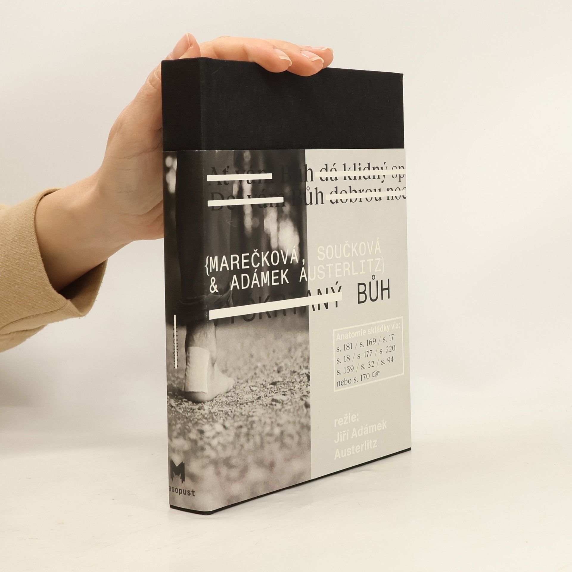 Tereza Marečková Maso X. Deset let divadelní společnosti Masopust