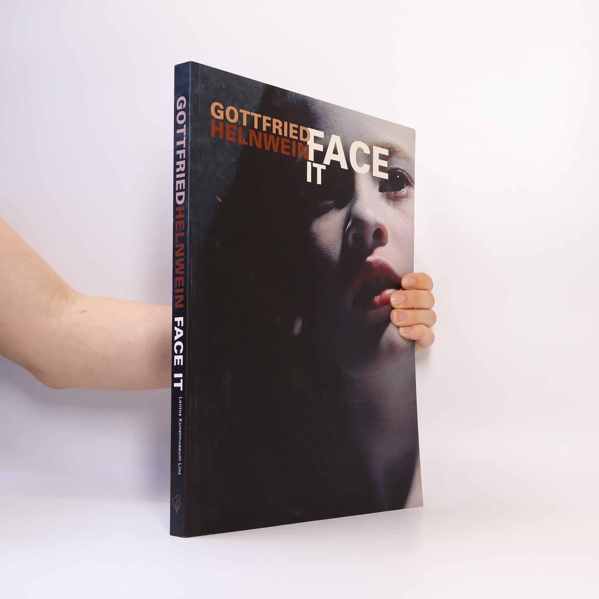 Gottfried Helnwein Face It