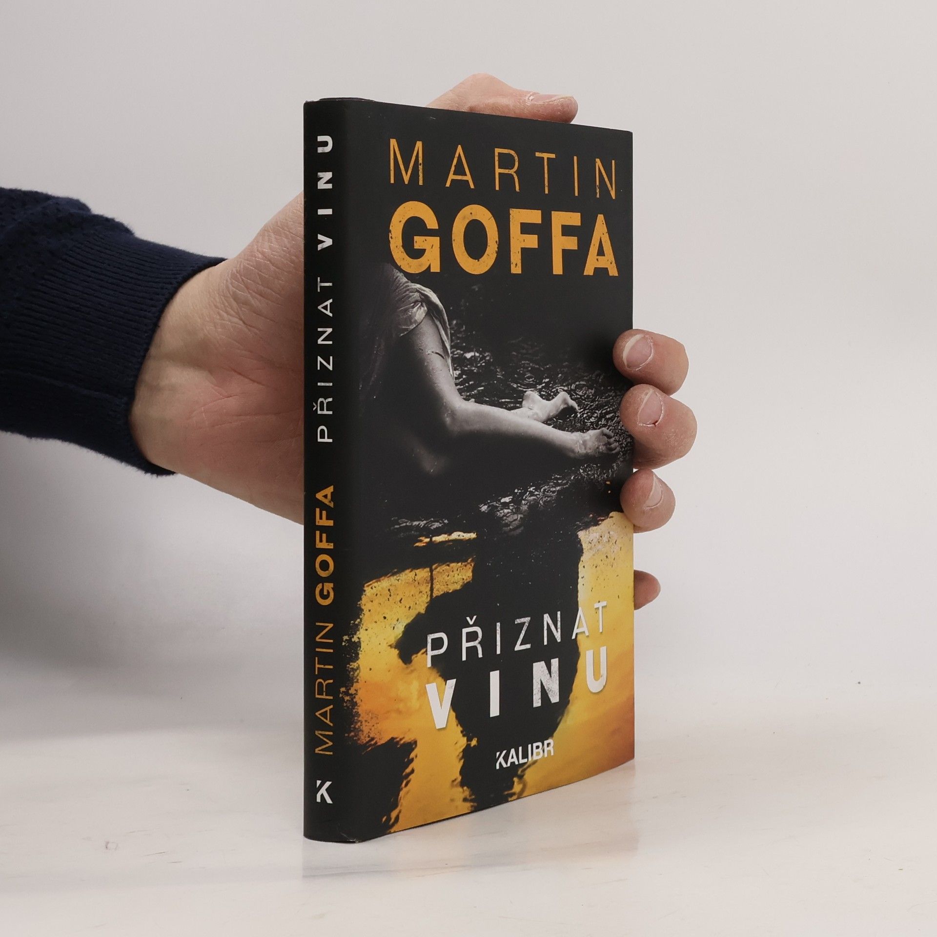 Martin Goffa Přiznat vinu