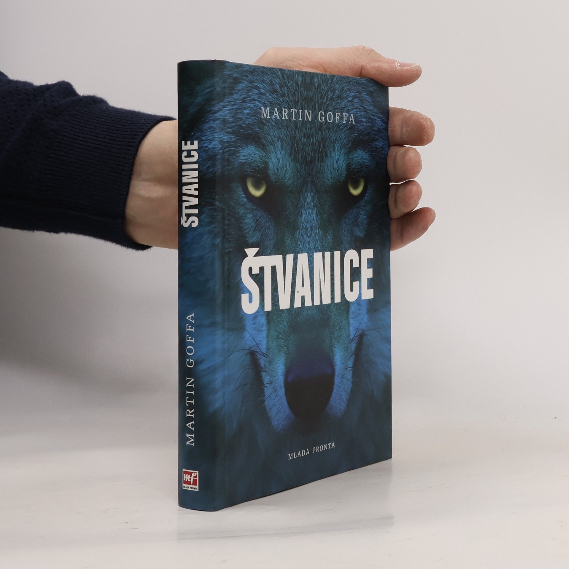 Martin Goffa Štvanice