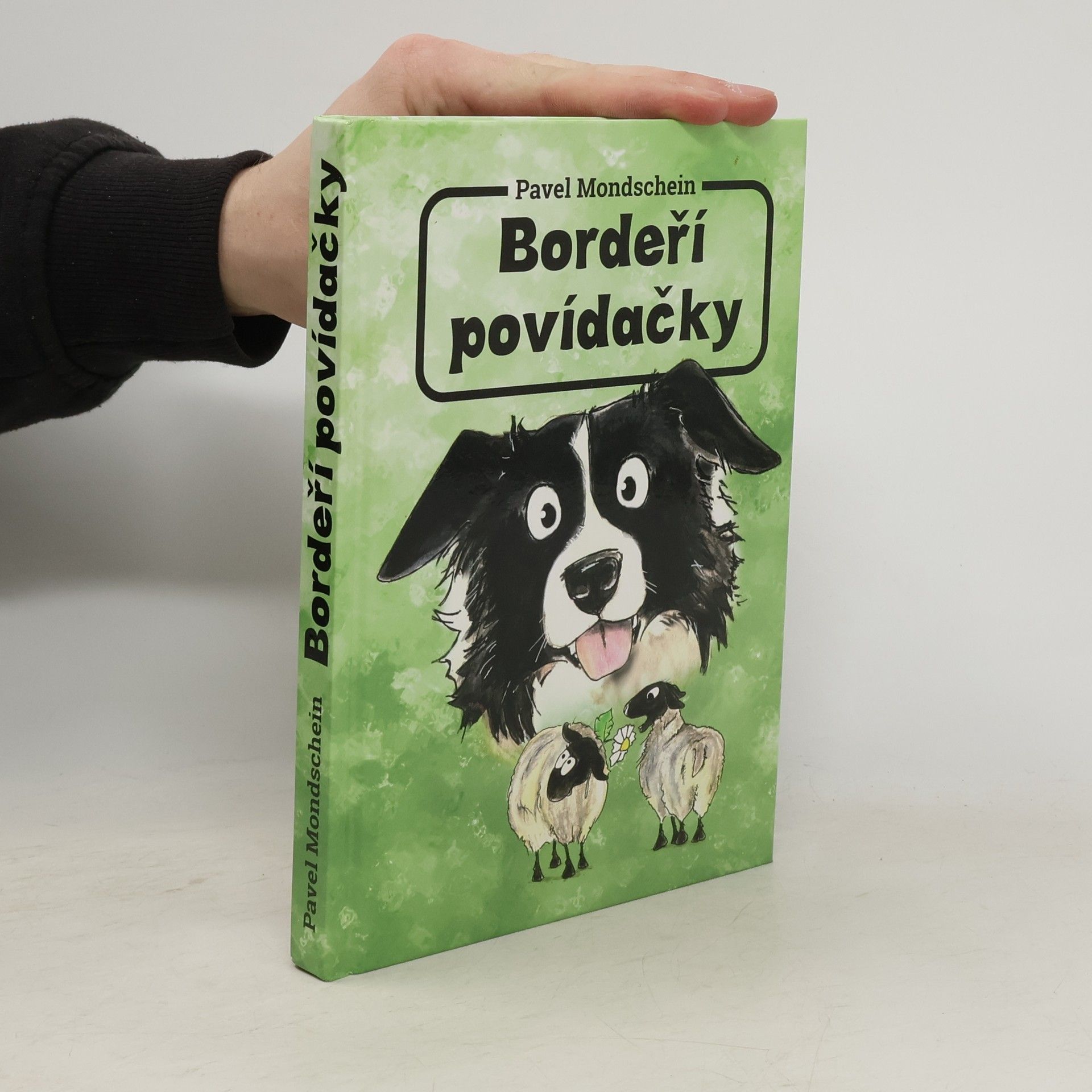 Pavel Mondschein Bordeří povídačky