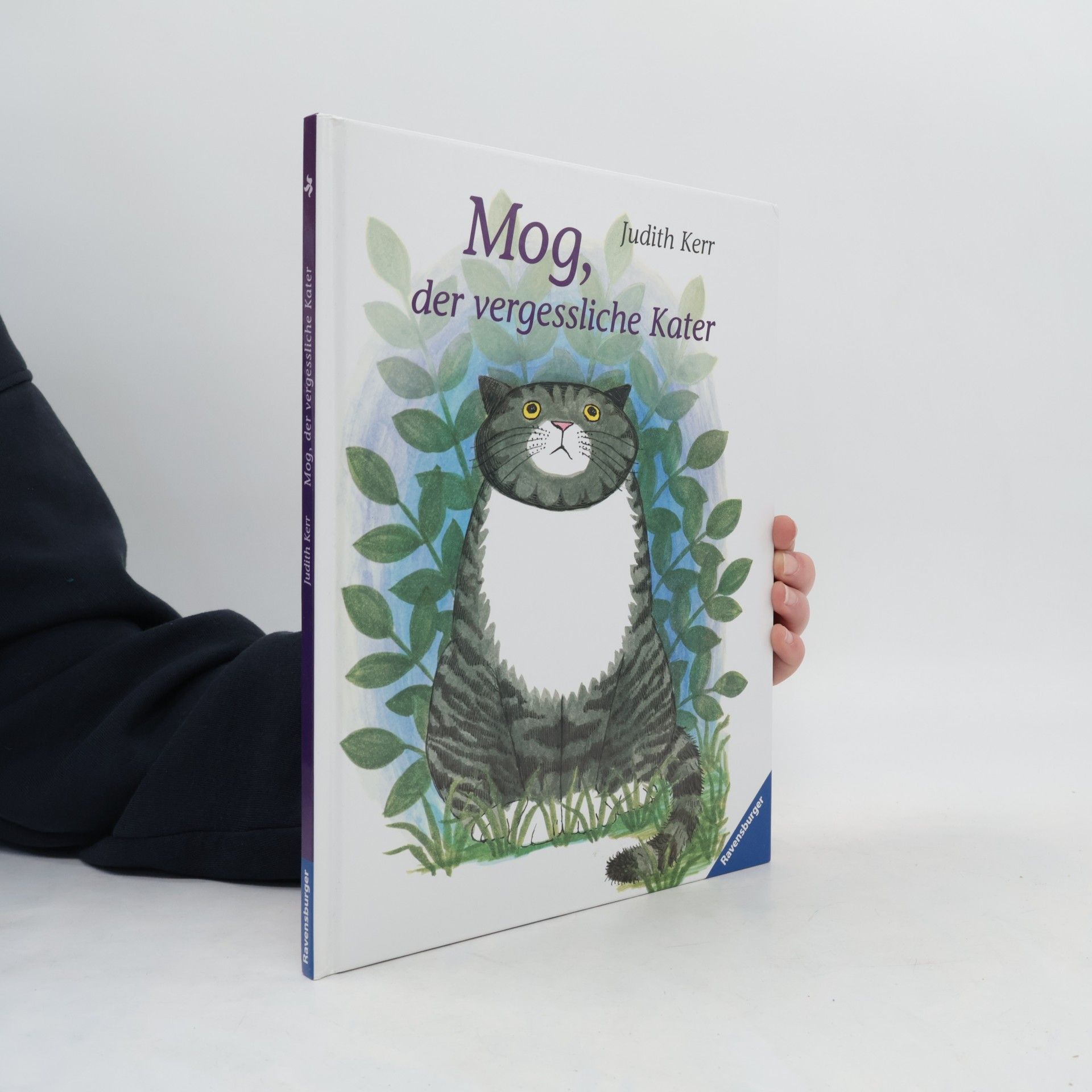 Judith Kerr Mog, der vergessliche Kater