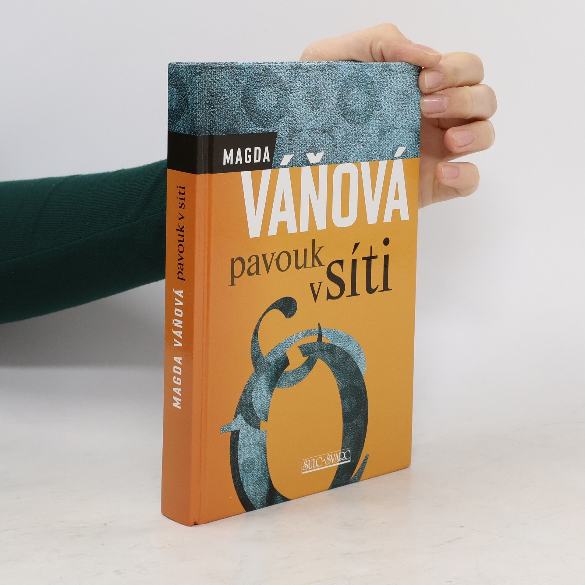 Magda Váňová Pavouk v síti