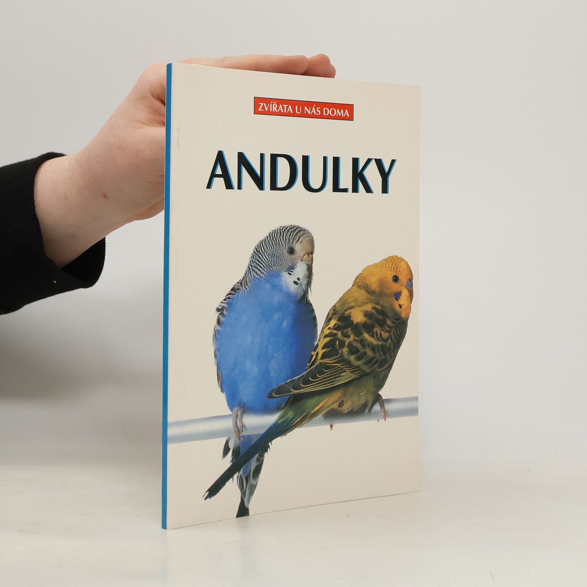 kolektiv Andulky