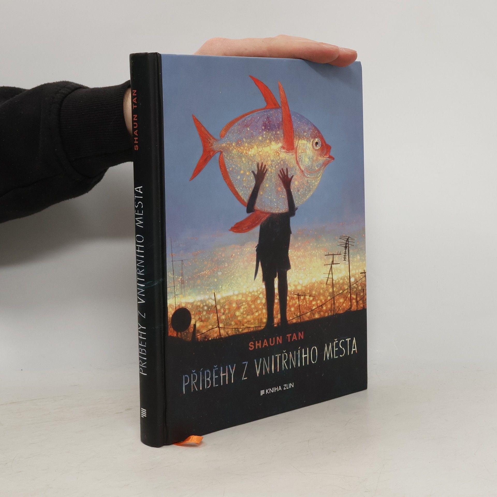 Shaun Tan Příběhy z vnitřního města