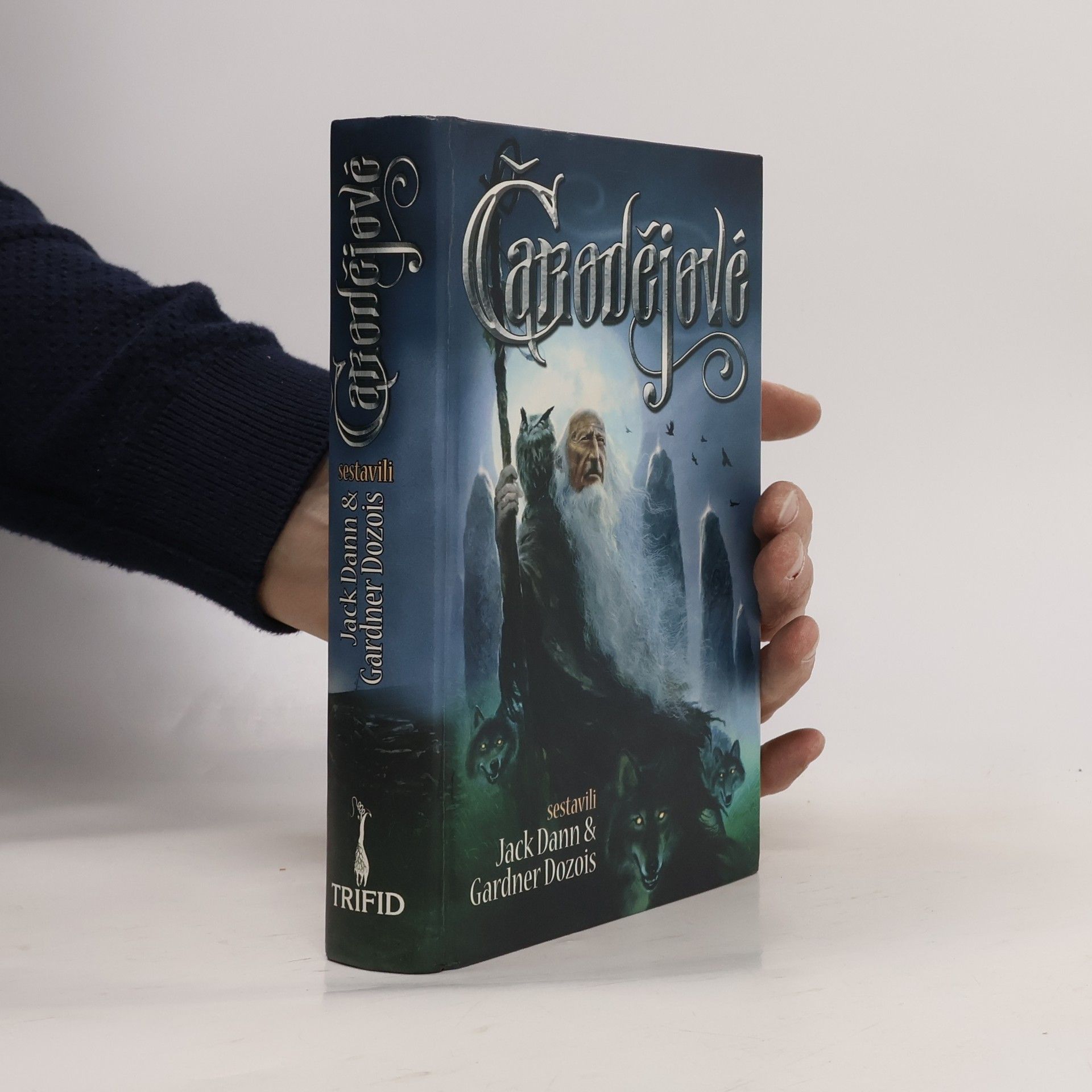 Jack Dann Čarodějové