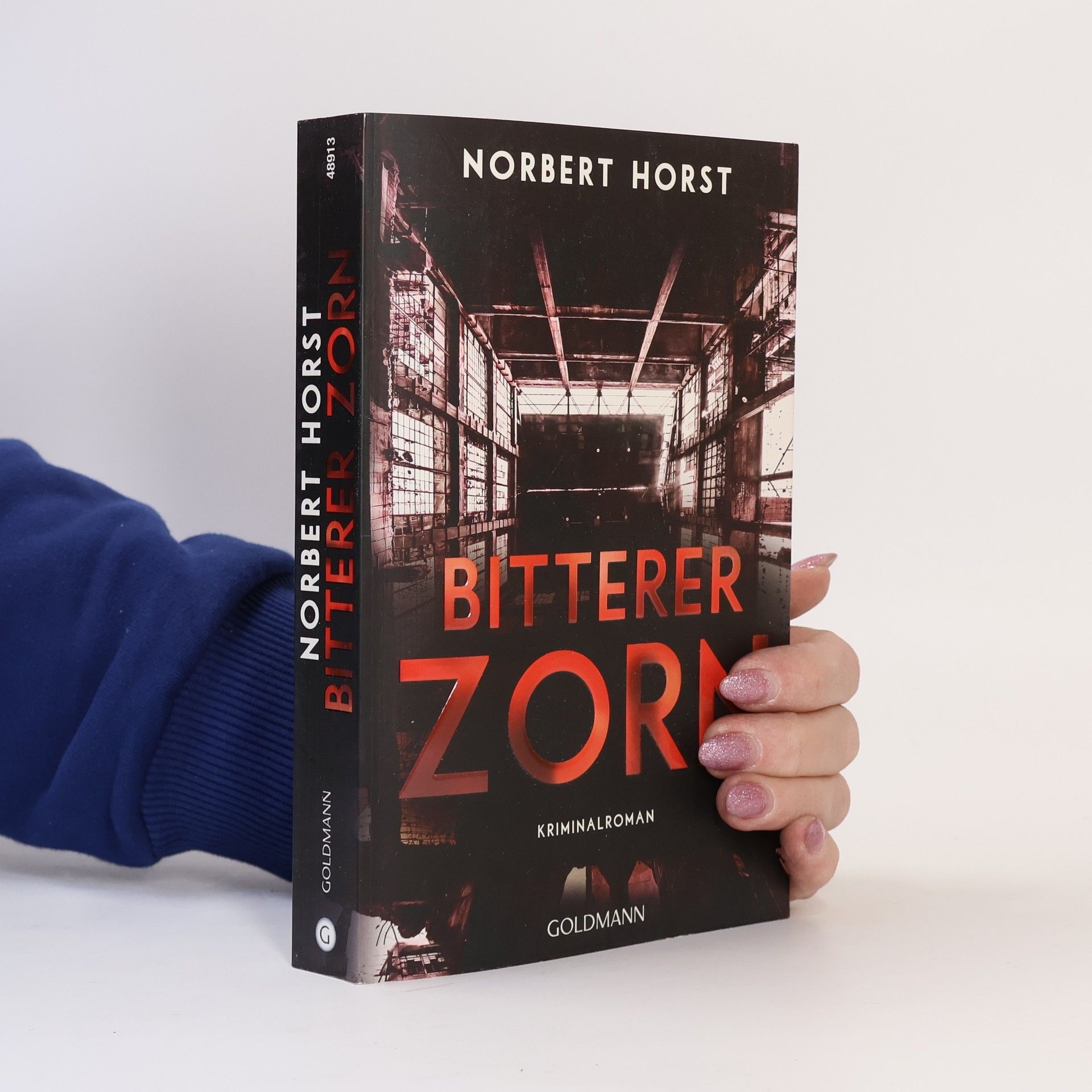 Norbert Horst Bitterer Zorn