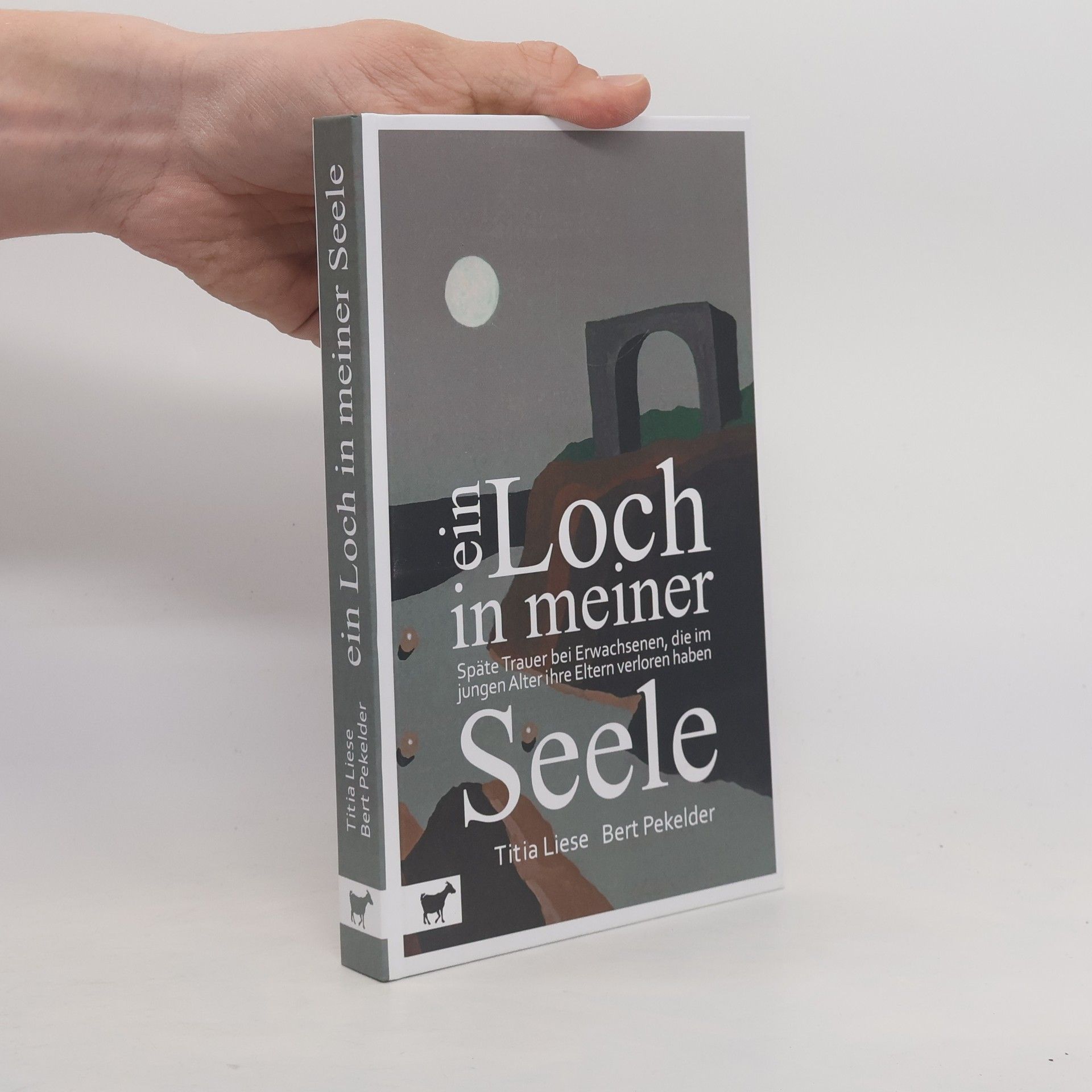 Titia Liese Ein Loch in meiner Seele