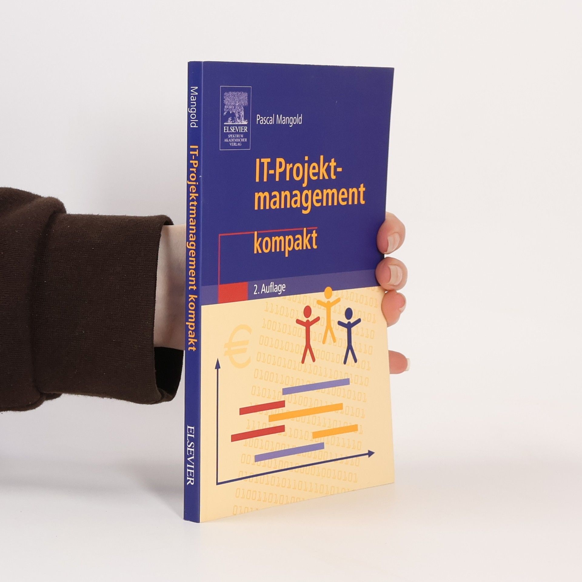 Pascal Mangold IT-Projektmanagement kompakt