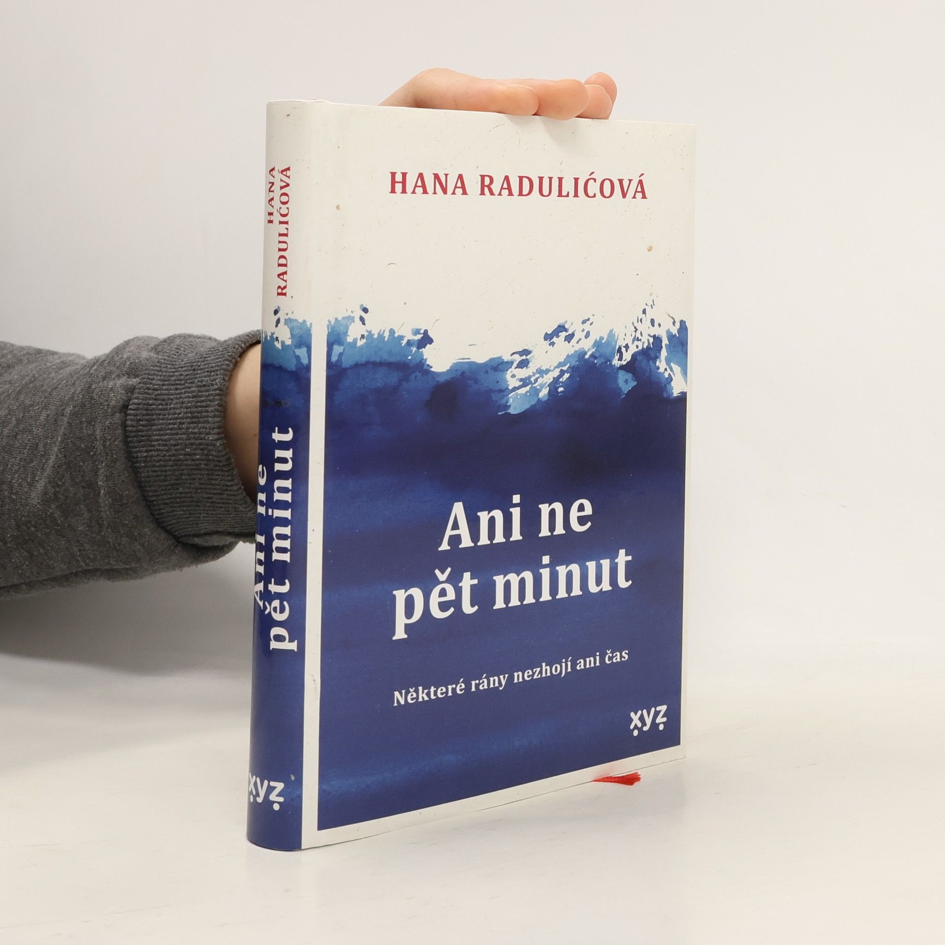 Hana Radulić Ani ne pět minut : některé rány nezhojí ani čas