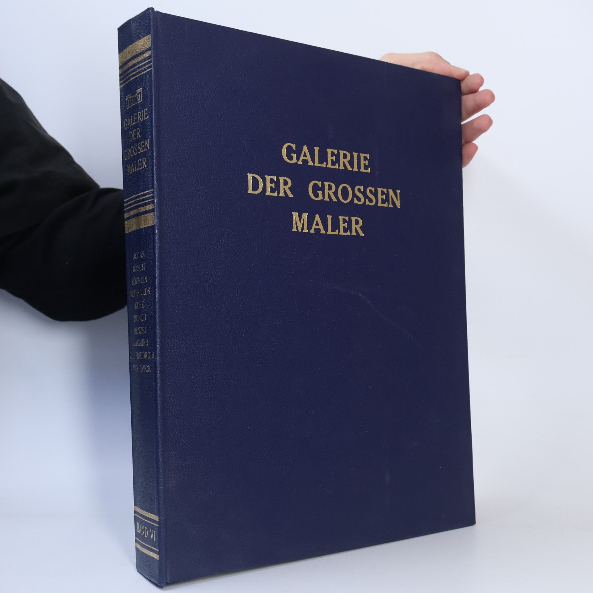 Kolektiv autorů Galerie der grossen Maler VI.