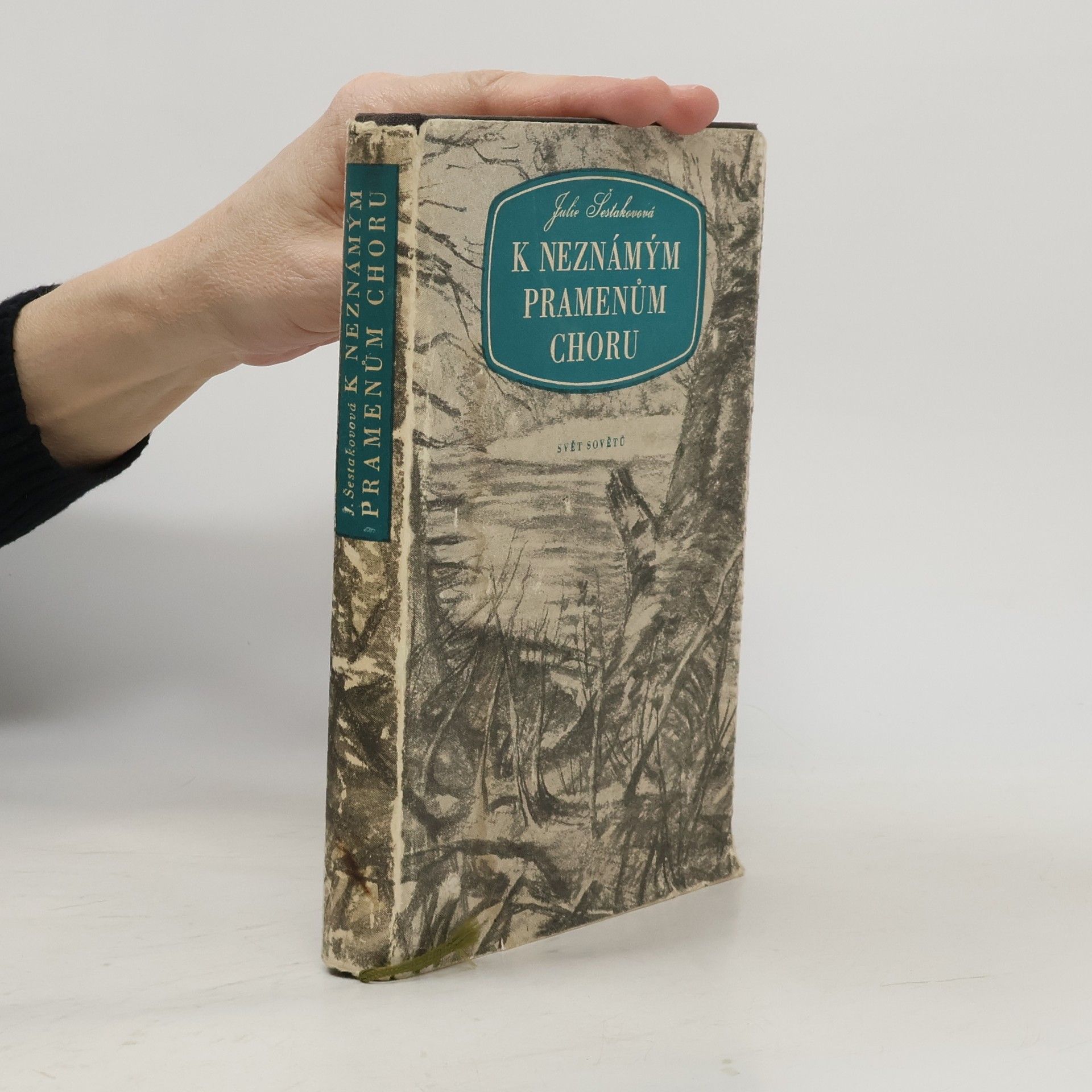 K neznámým pramenům Choru