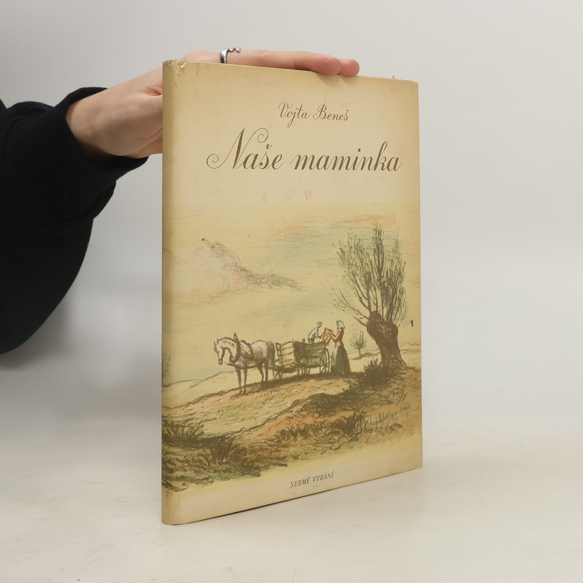 Vojta Beneš Naše maminka