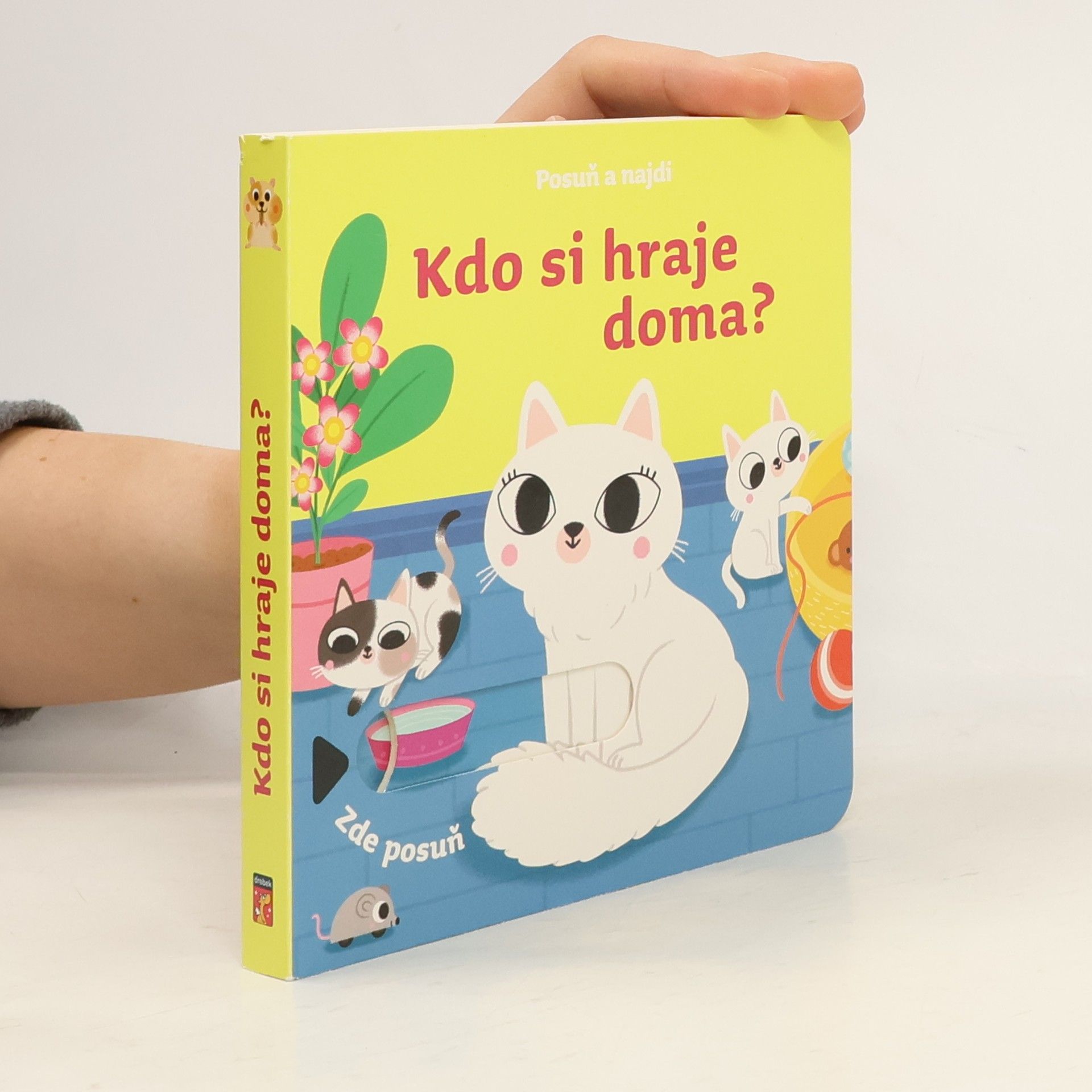 kolektiv Posuň a najdi: Kdo si hraje doma?