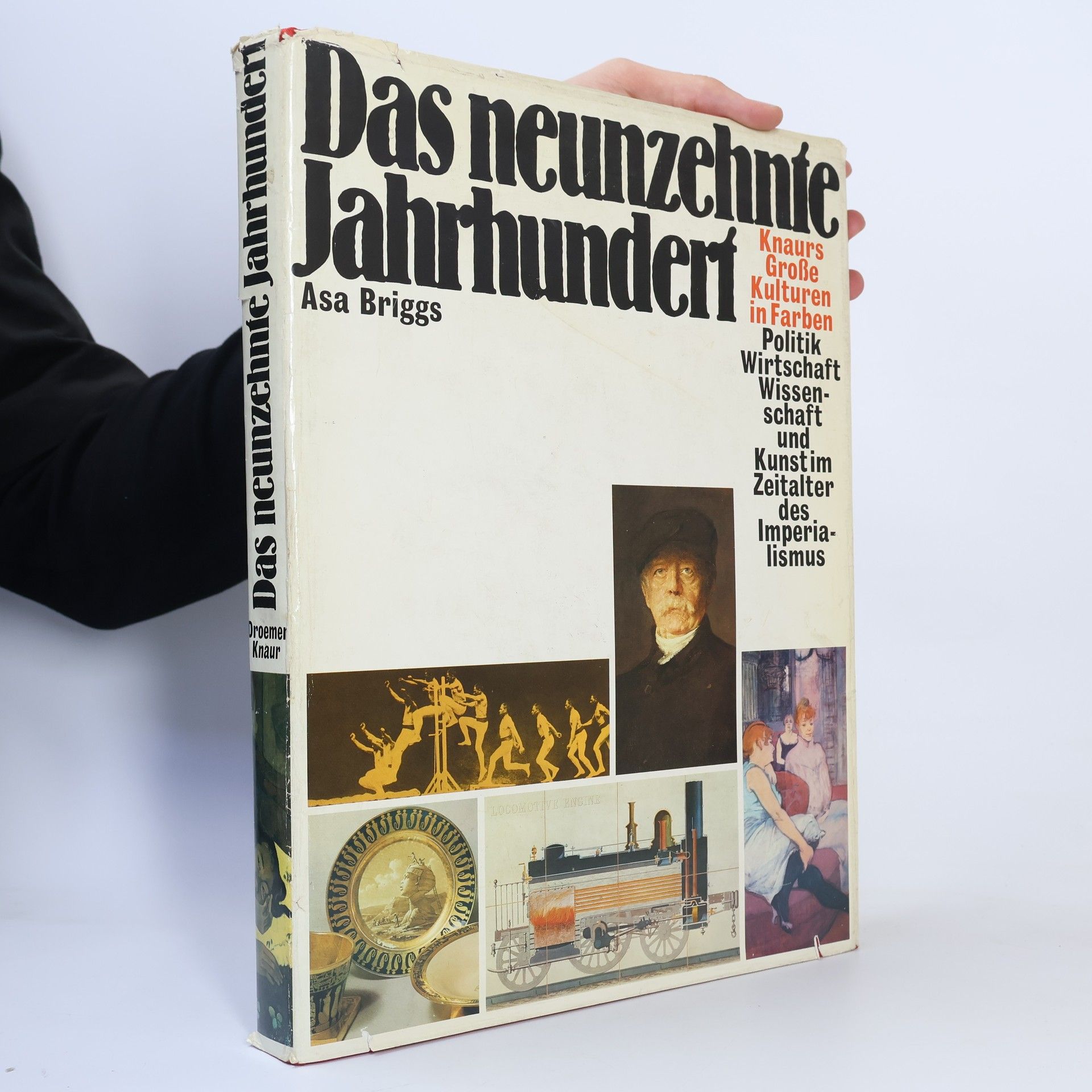 Asa Briggs Das neunzehnte Jahrhundert