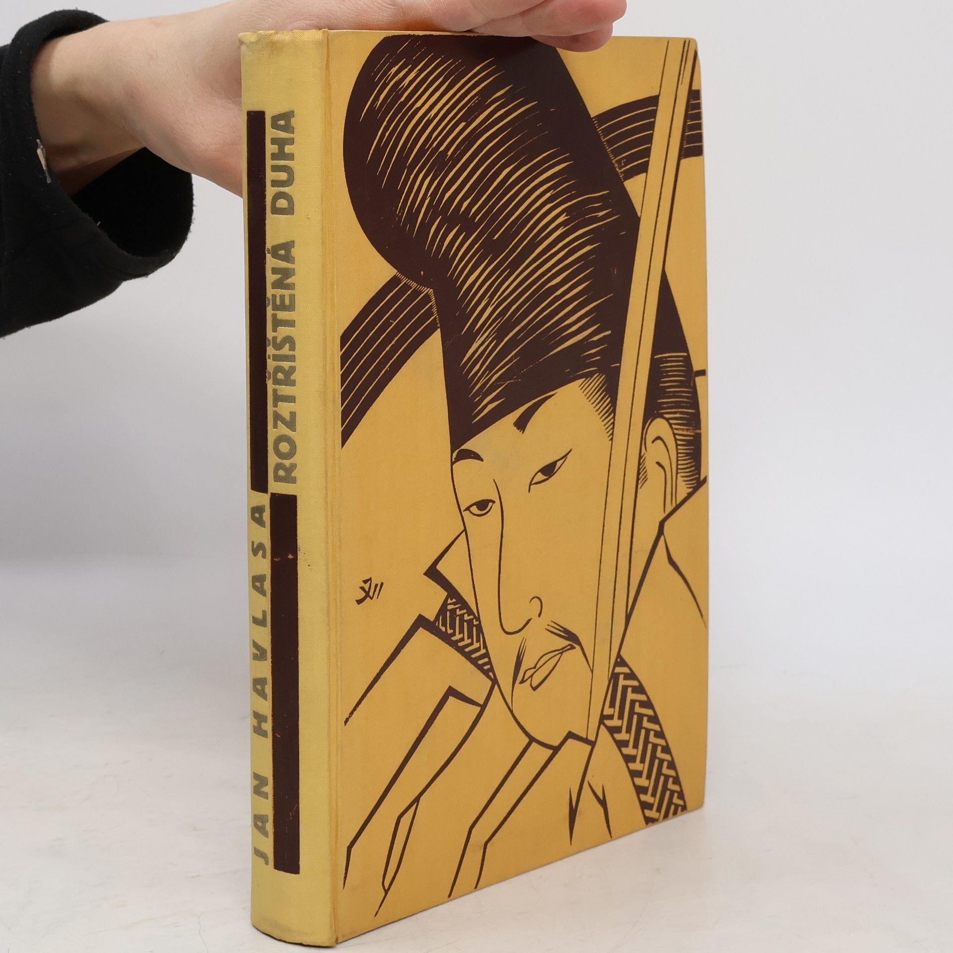 Jan Havlasa Roztříštěná duha