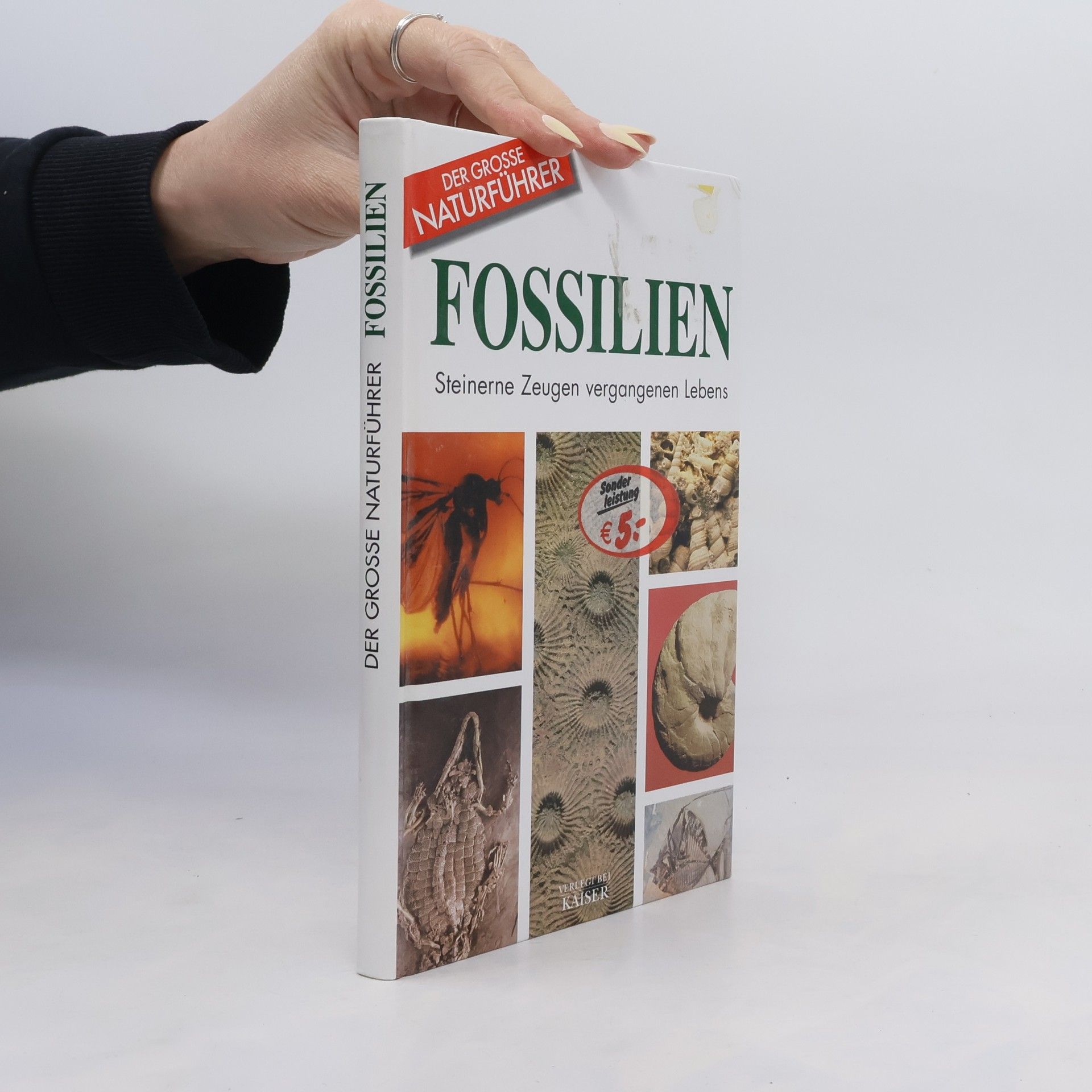 Giorgio Teruzzi Fossilien