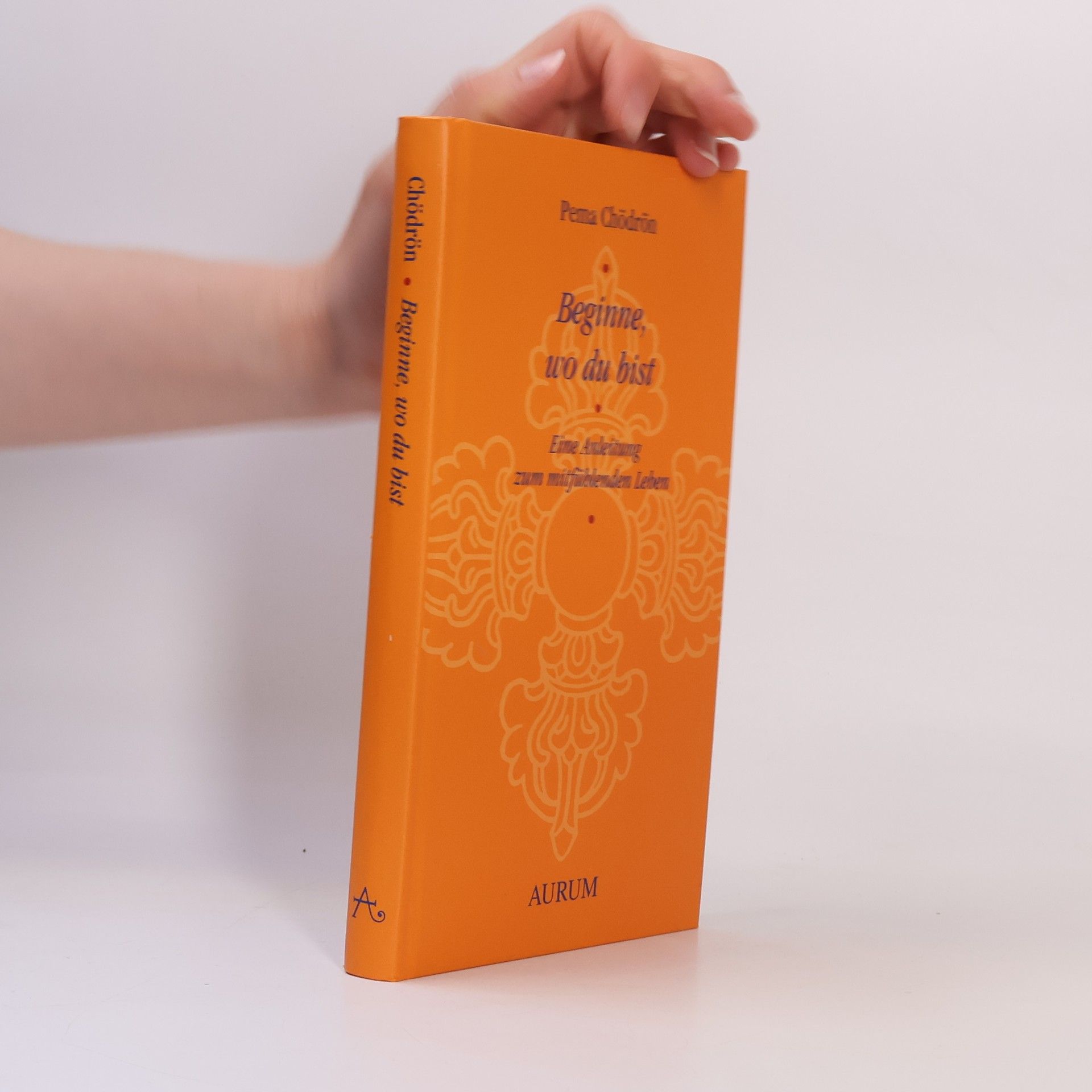 Pema Chödrön Beginne, wo du bist