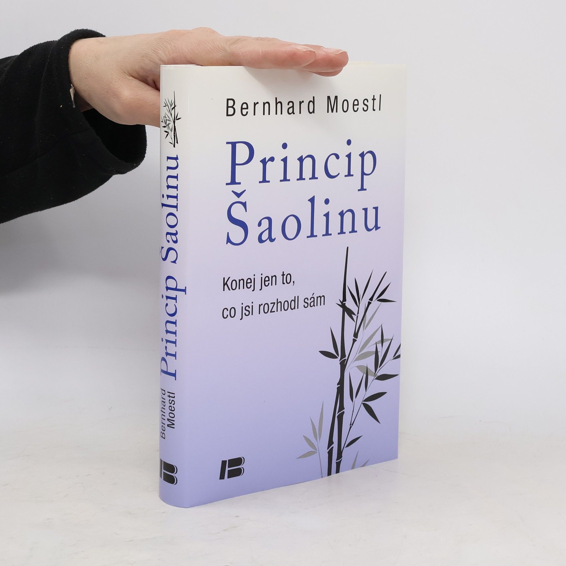 Bernhard Moestl Princip Šaolinu: Konej jen to, co jsi rozhodl sám