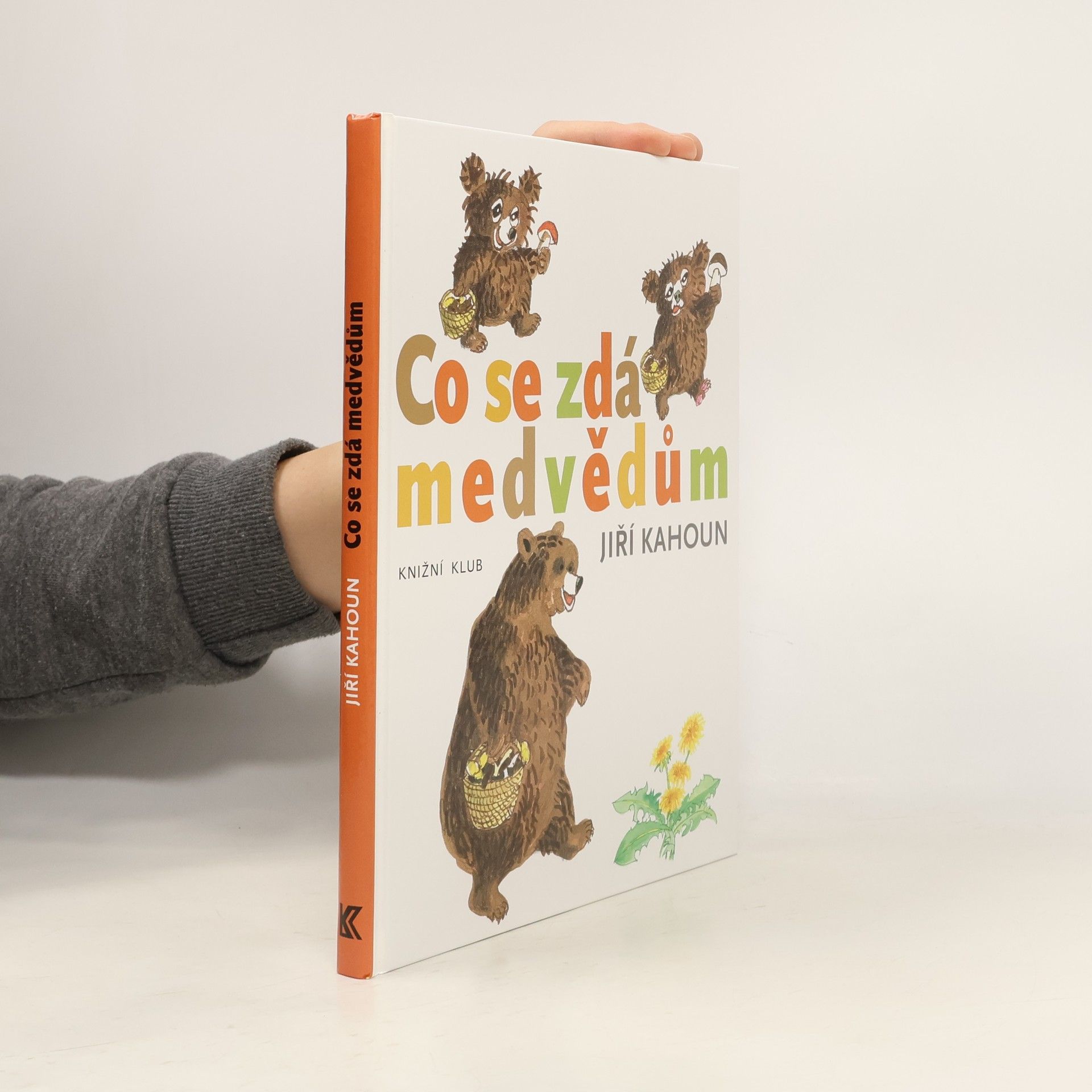 Jiří Kahoun Co se zdá medvědům