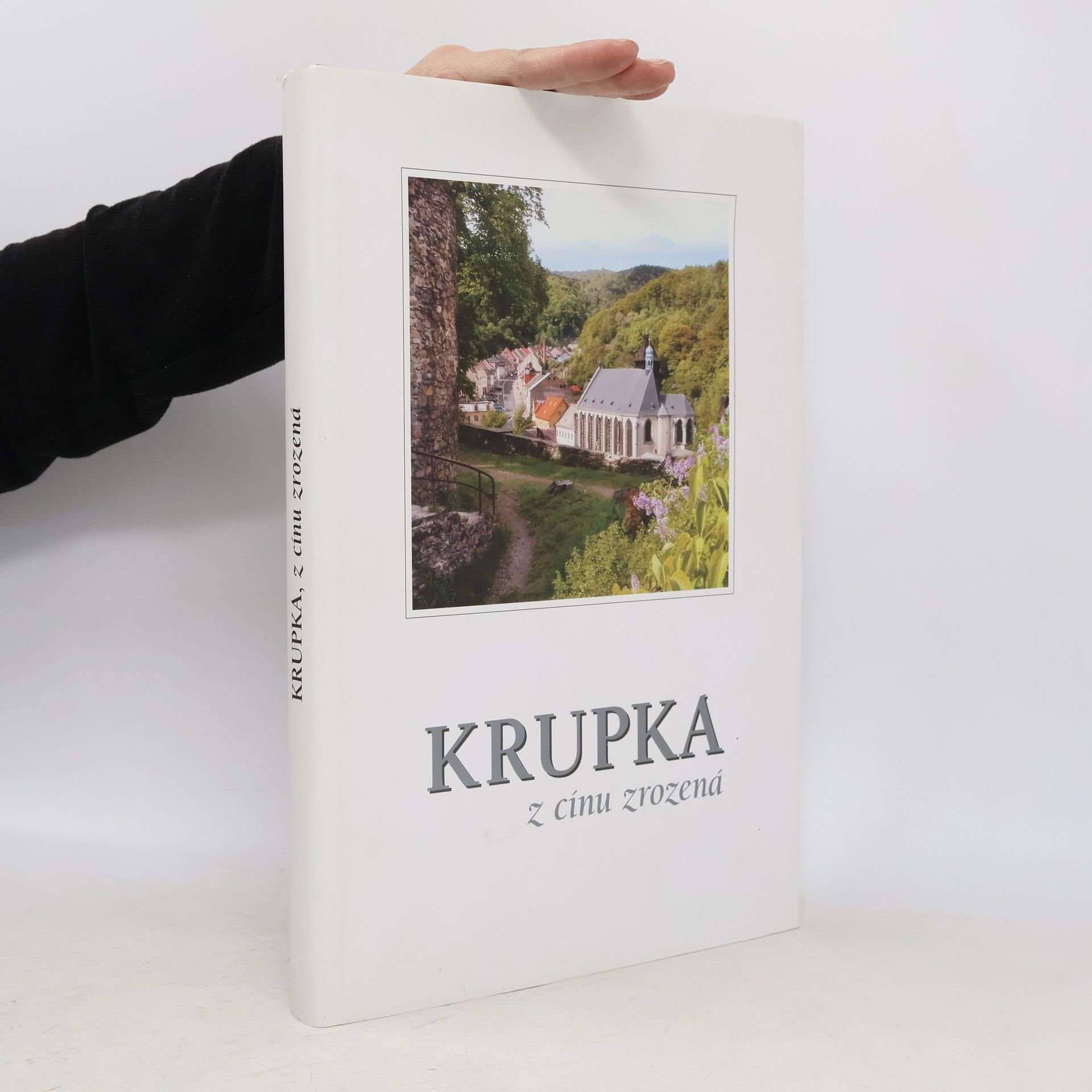 Krupka z cínu zrozená