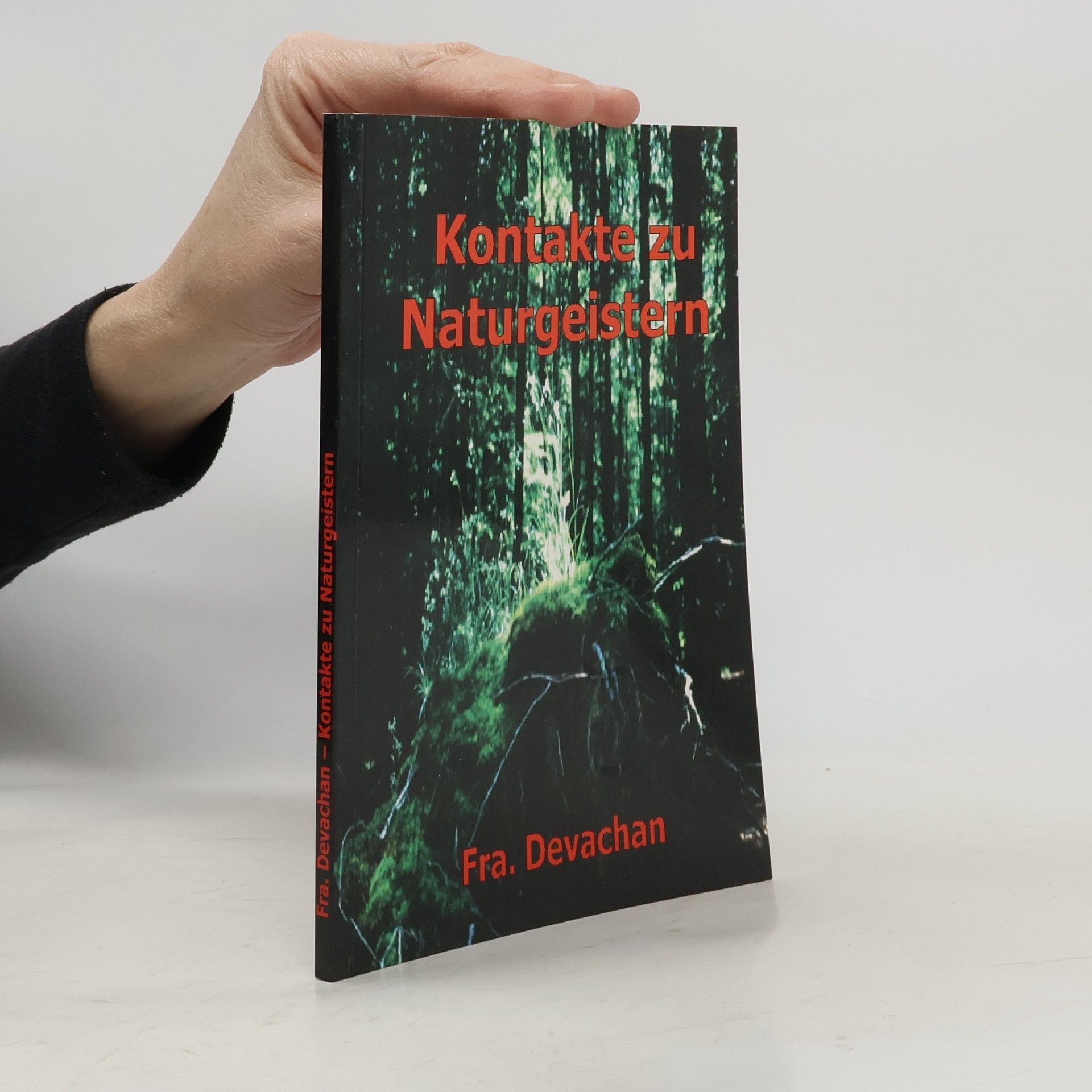 Devachan Kontakte zu Naturgeistern